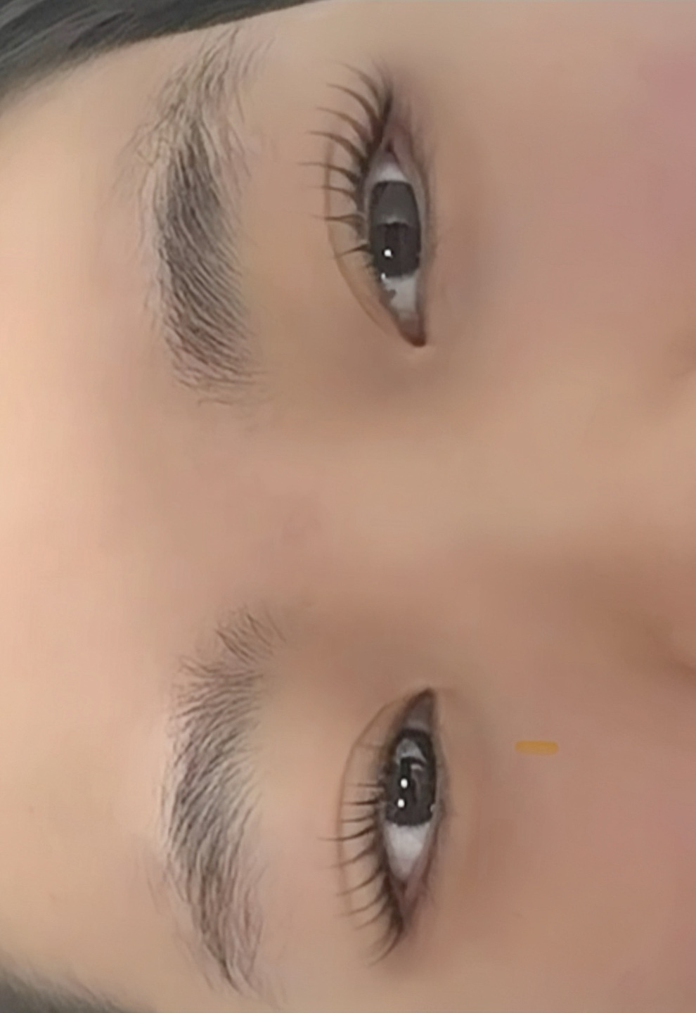 채움브로우 대표 이미지