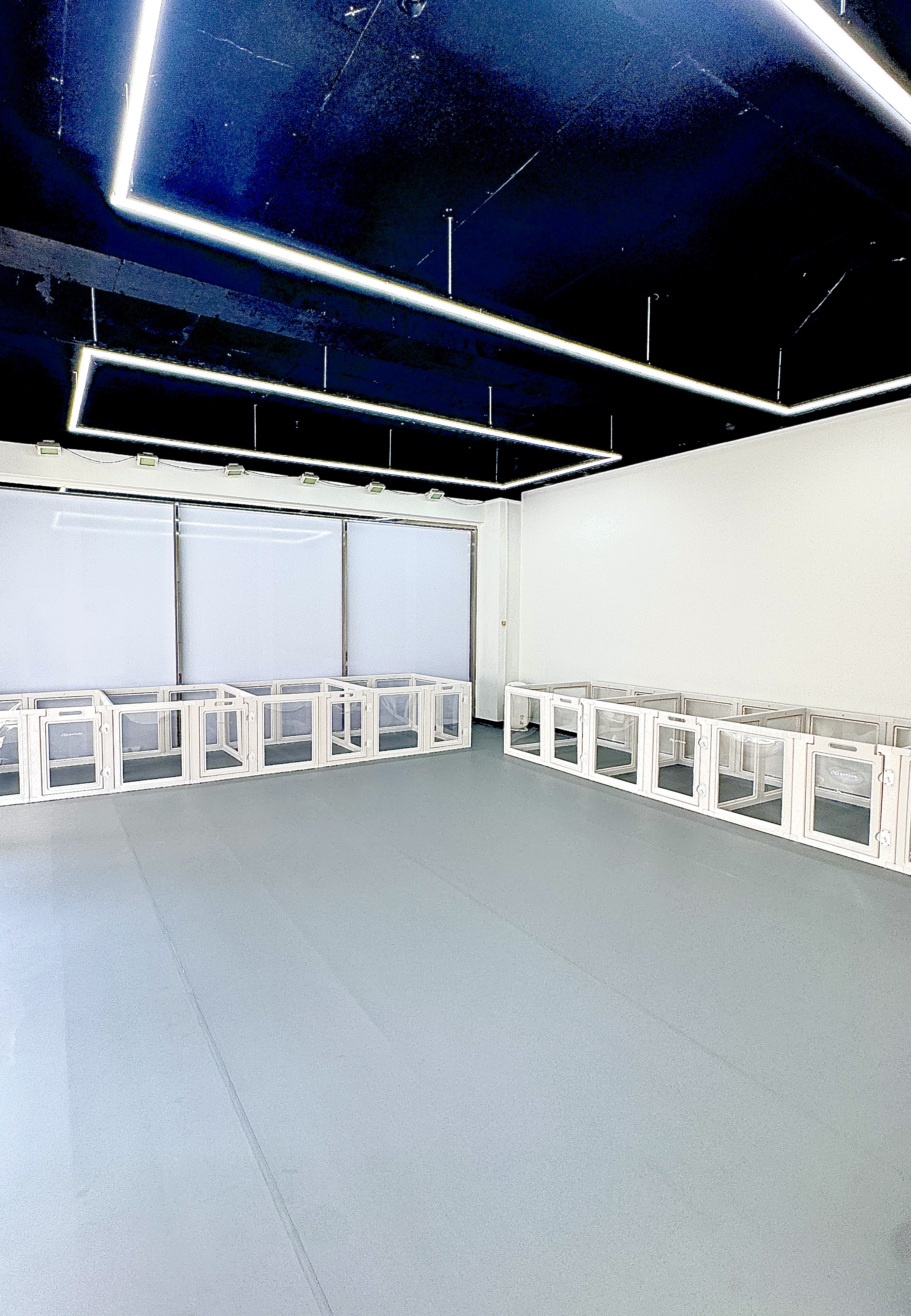 멍뭉빌리지 대표 이미지