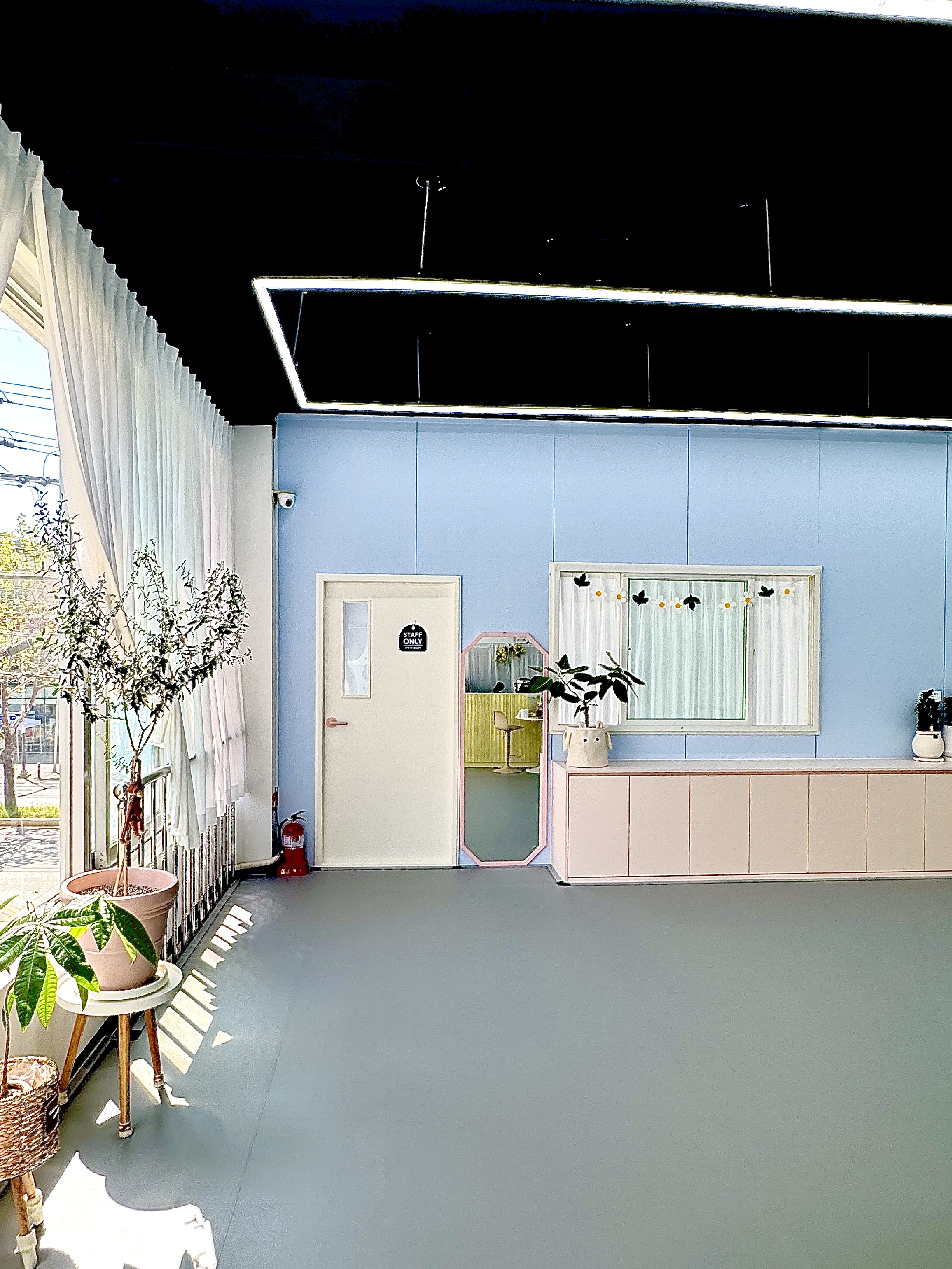 멍뭉빌리지 청주점 대표 이미지