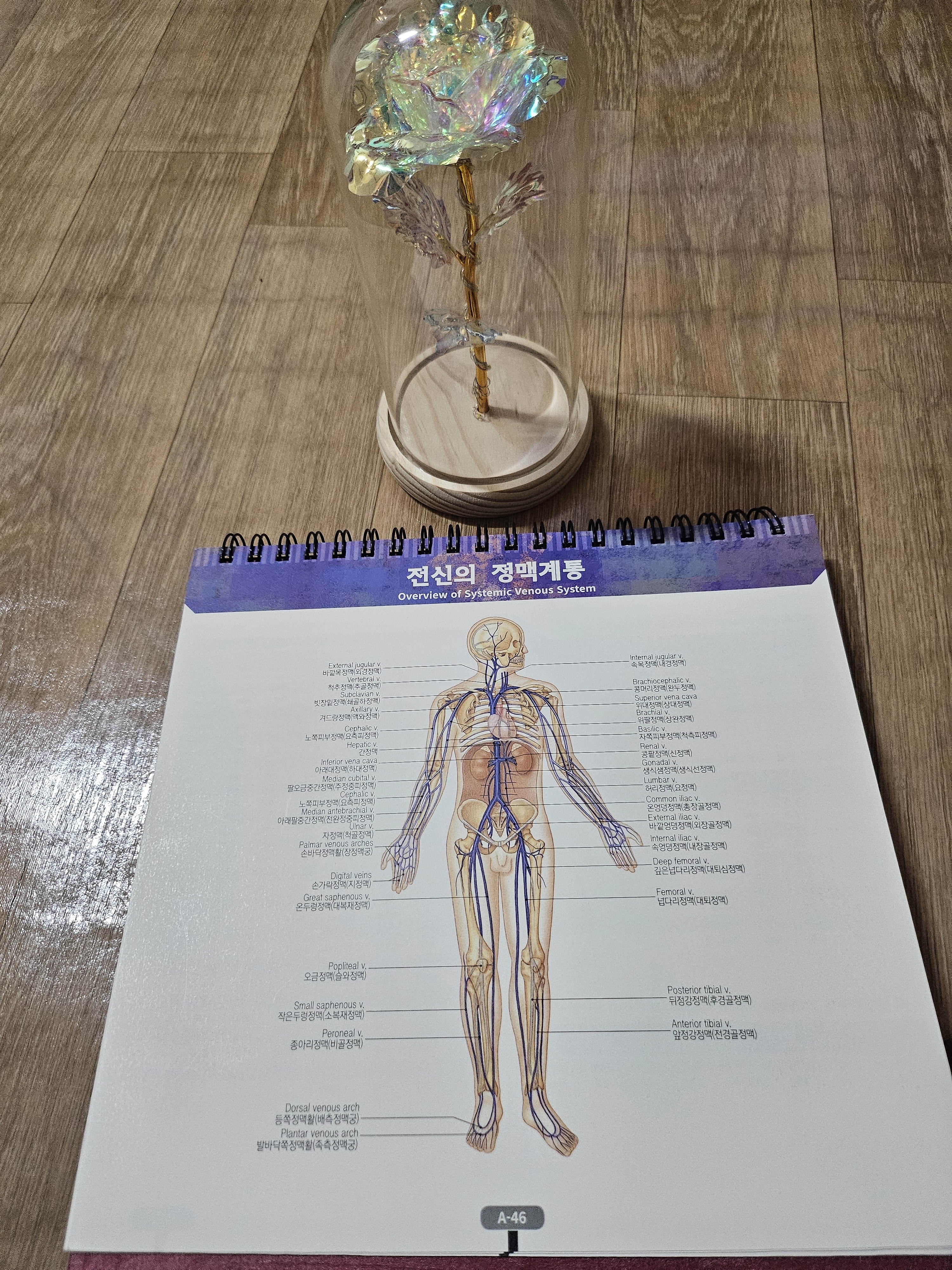 힐링중국정통마사지 안산고잔점
