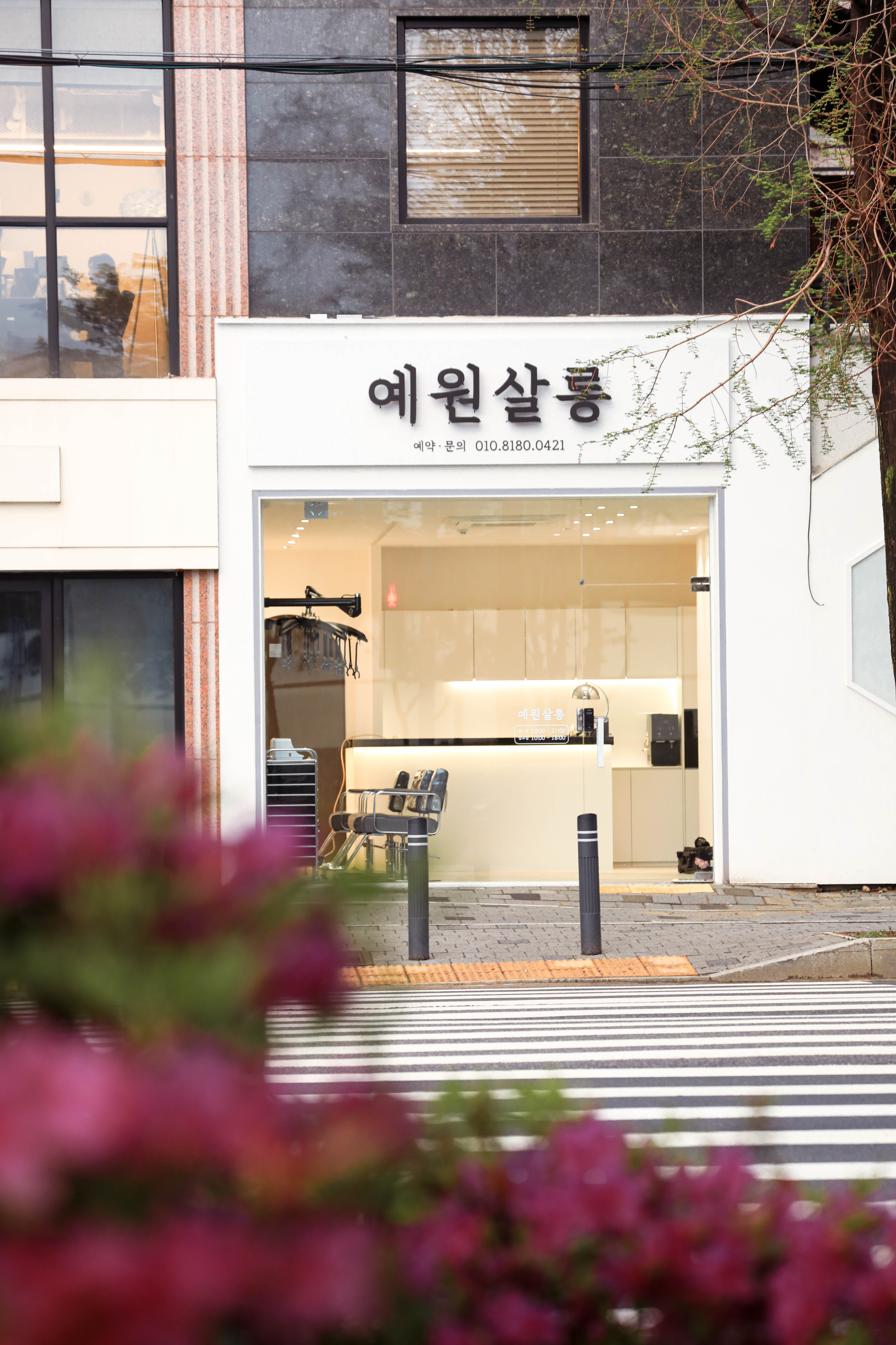 예원살롱