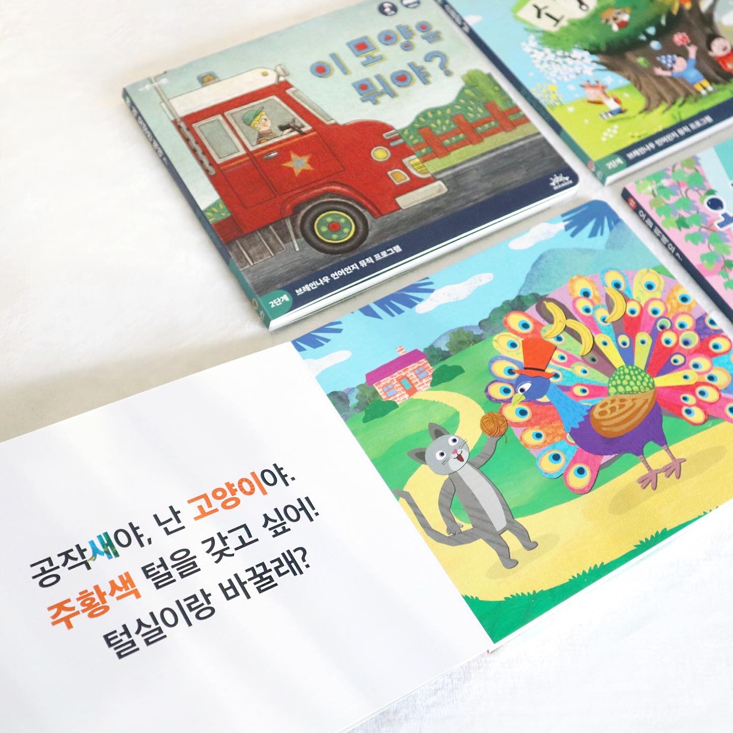 브레인나우스튜디오 대표 이미지