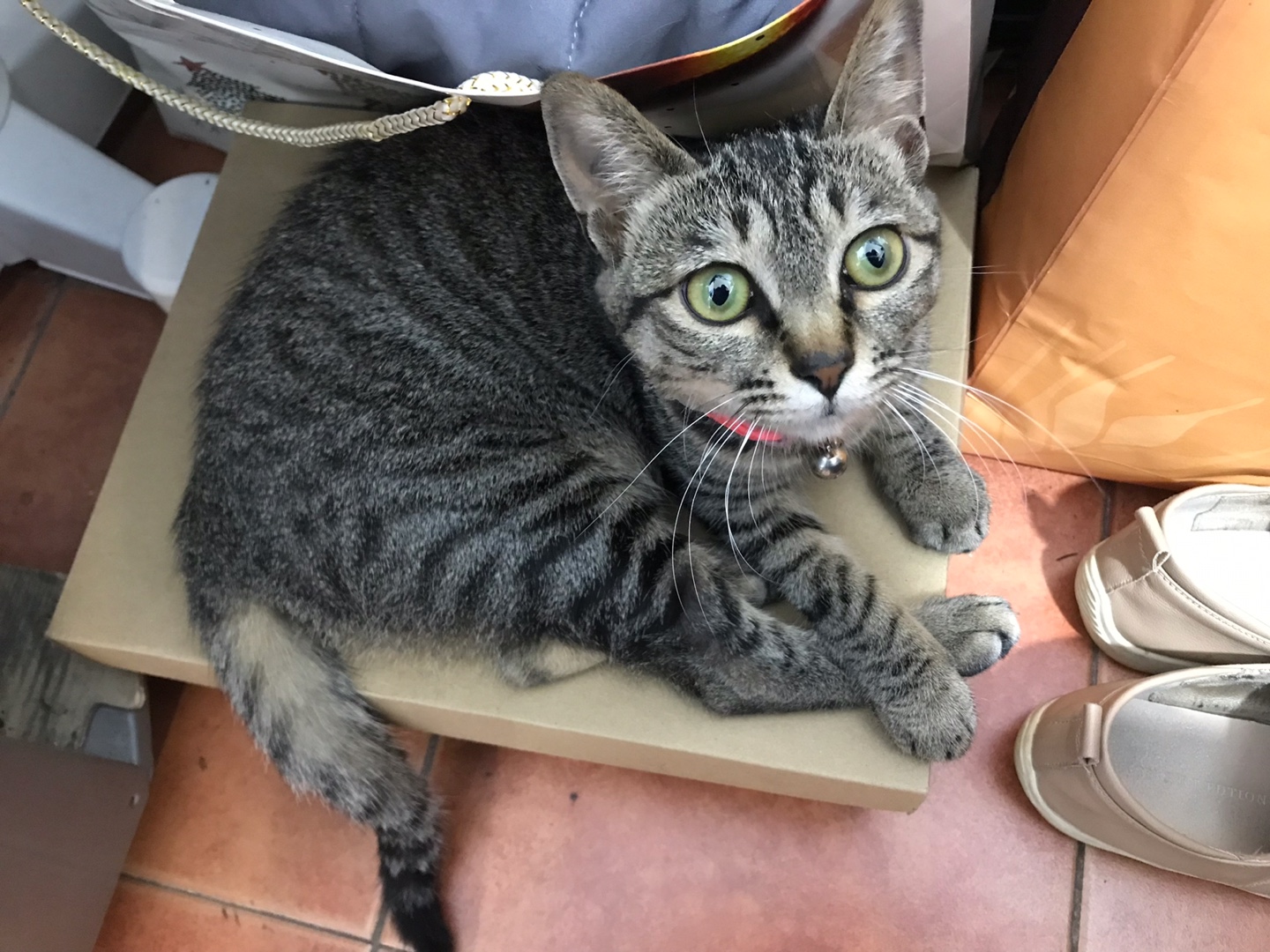 창원바이크아카데미 대표 이미지