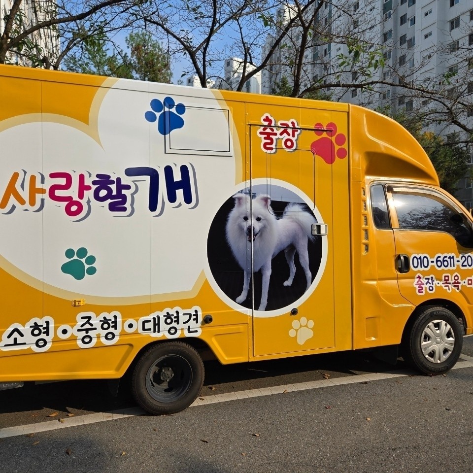 사랑할개 대형견 대표 이미지