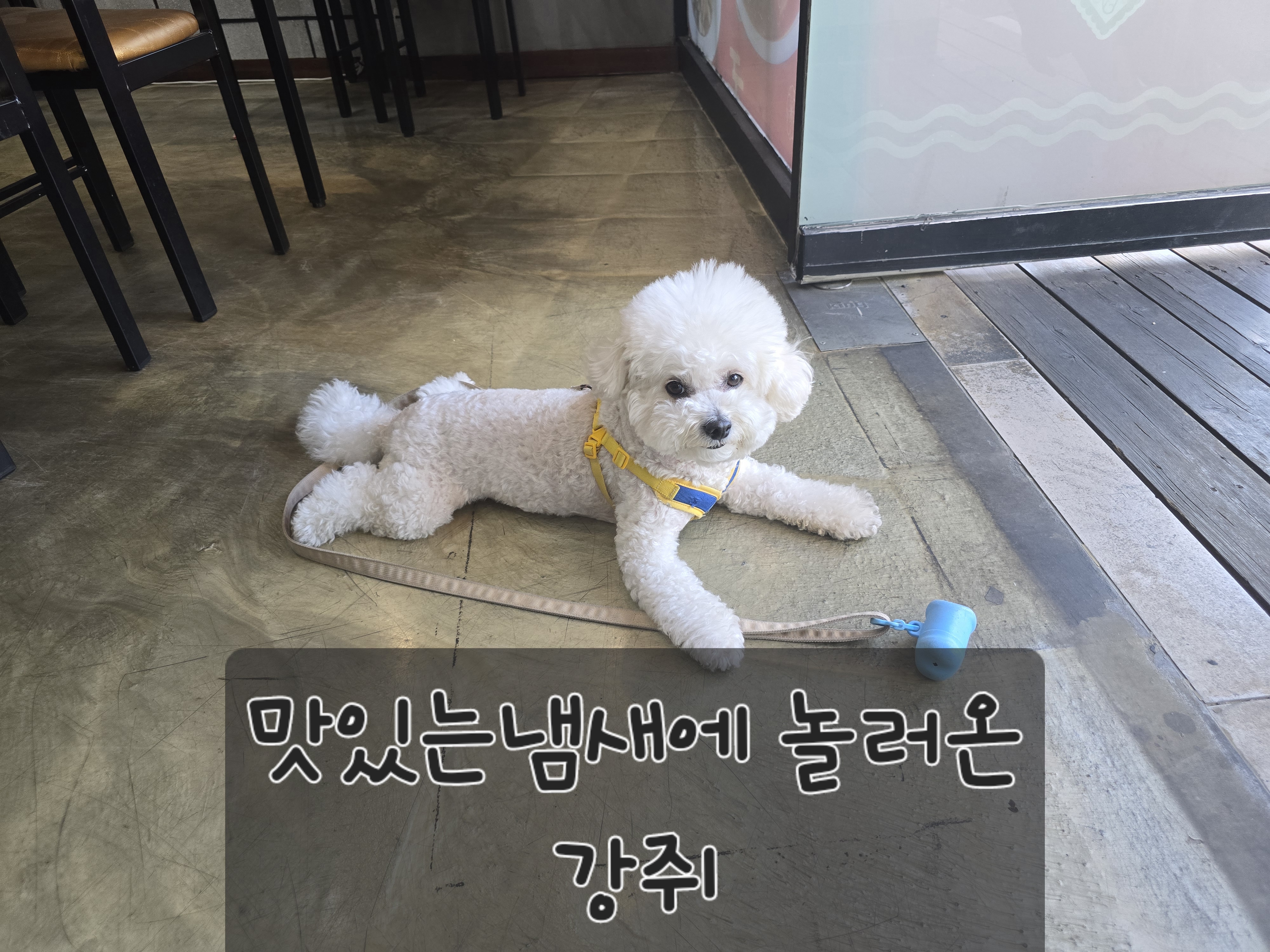 신얼큰이짬뽕 삼산점