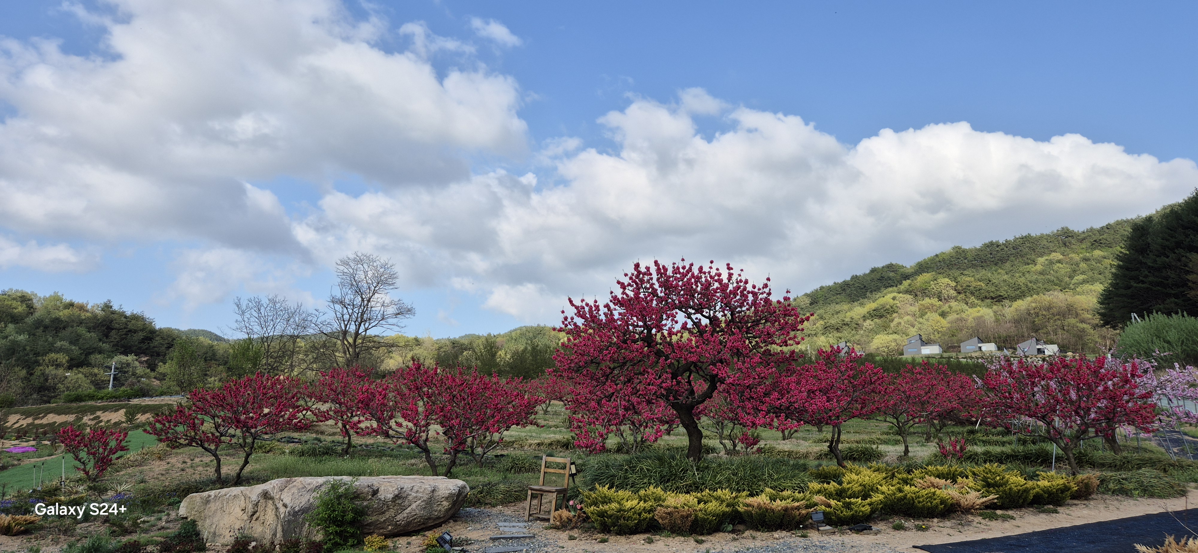 아빠의대지엄마의정원