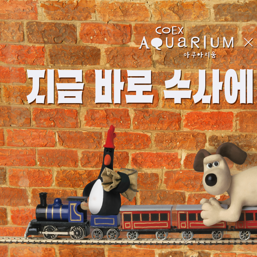 코엑스아쿠아리움 내부 또는 관련 모습