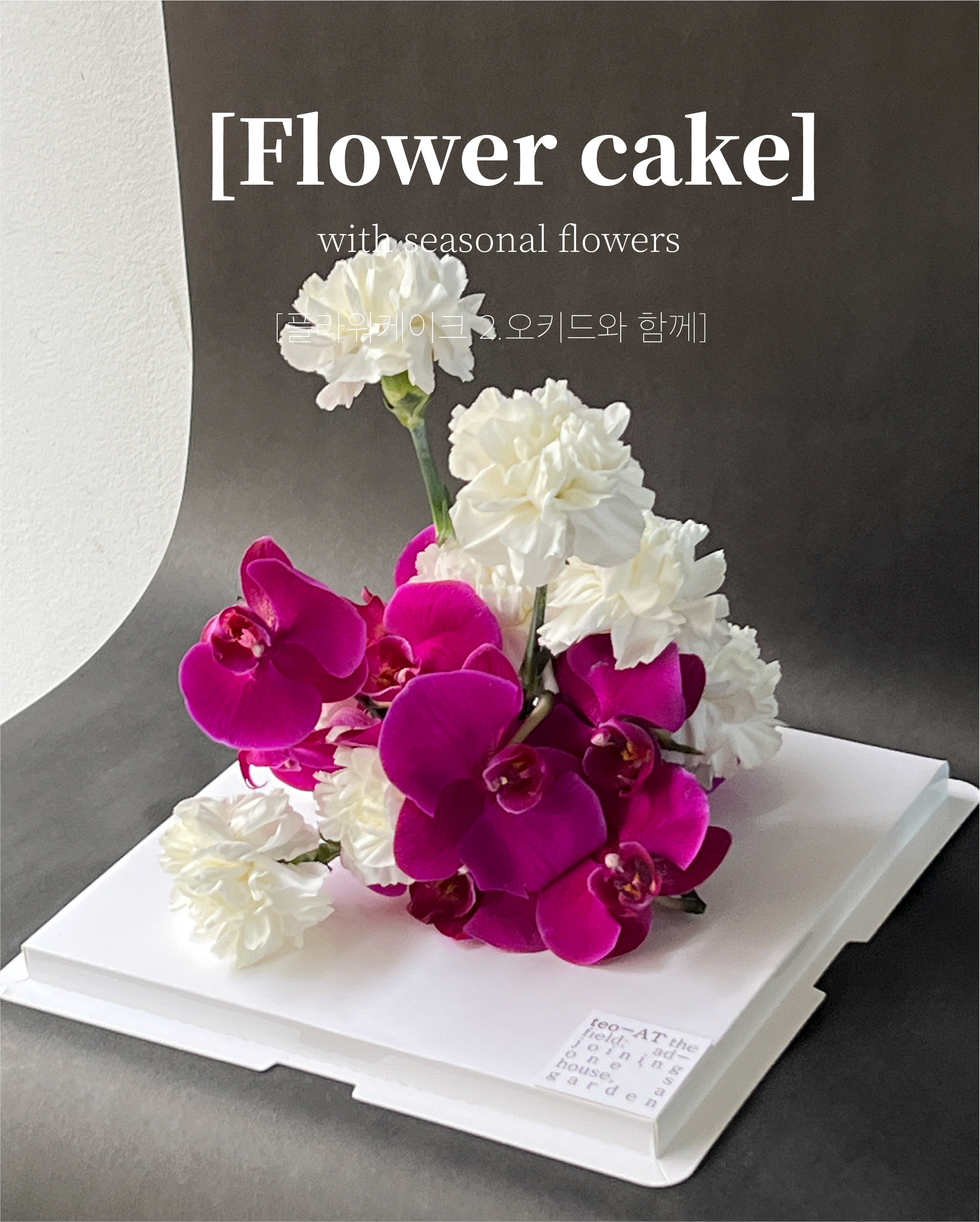 터앝