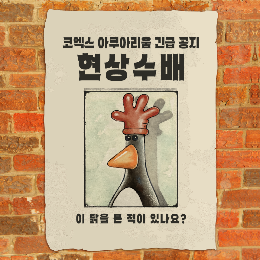 코엑스아쿠아리움 내부 또는 관련 모습