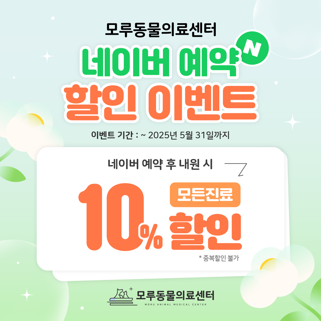 모루 동물의료센터 내부 또는 관련 모습