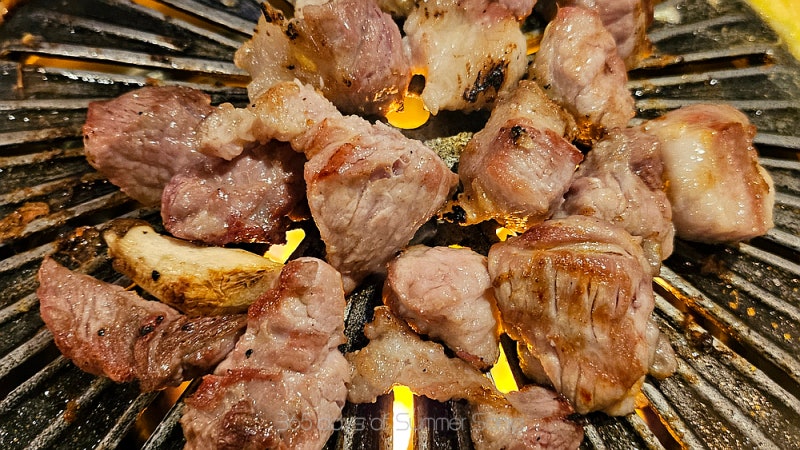 부전갈매기