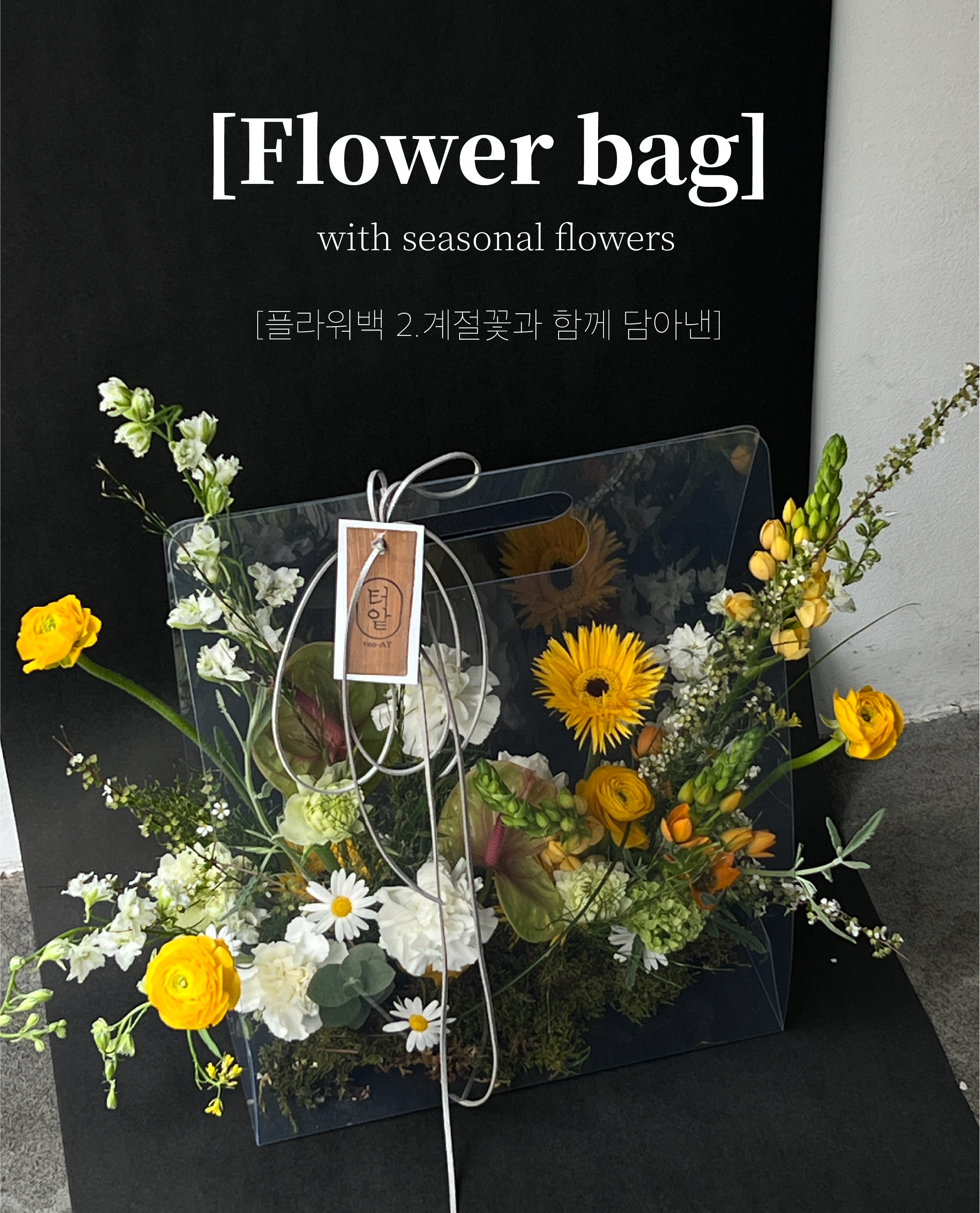 터앝