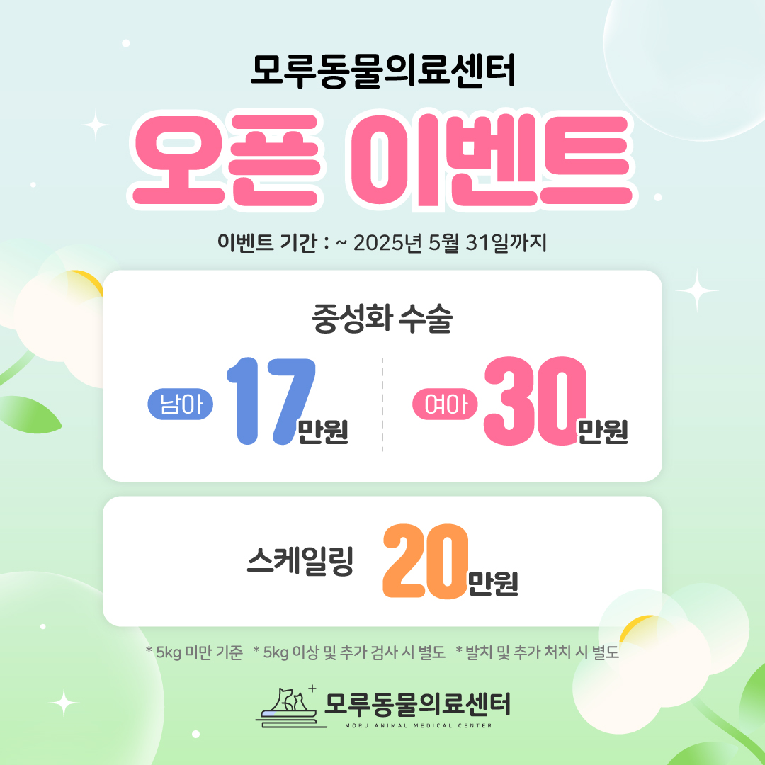 모루 동물의료센터 내부 또는 관련 모습