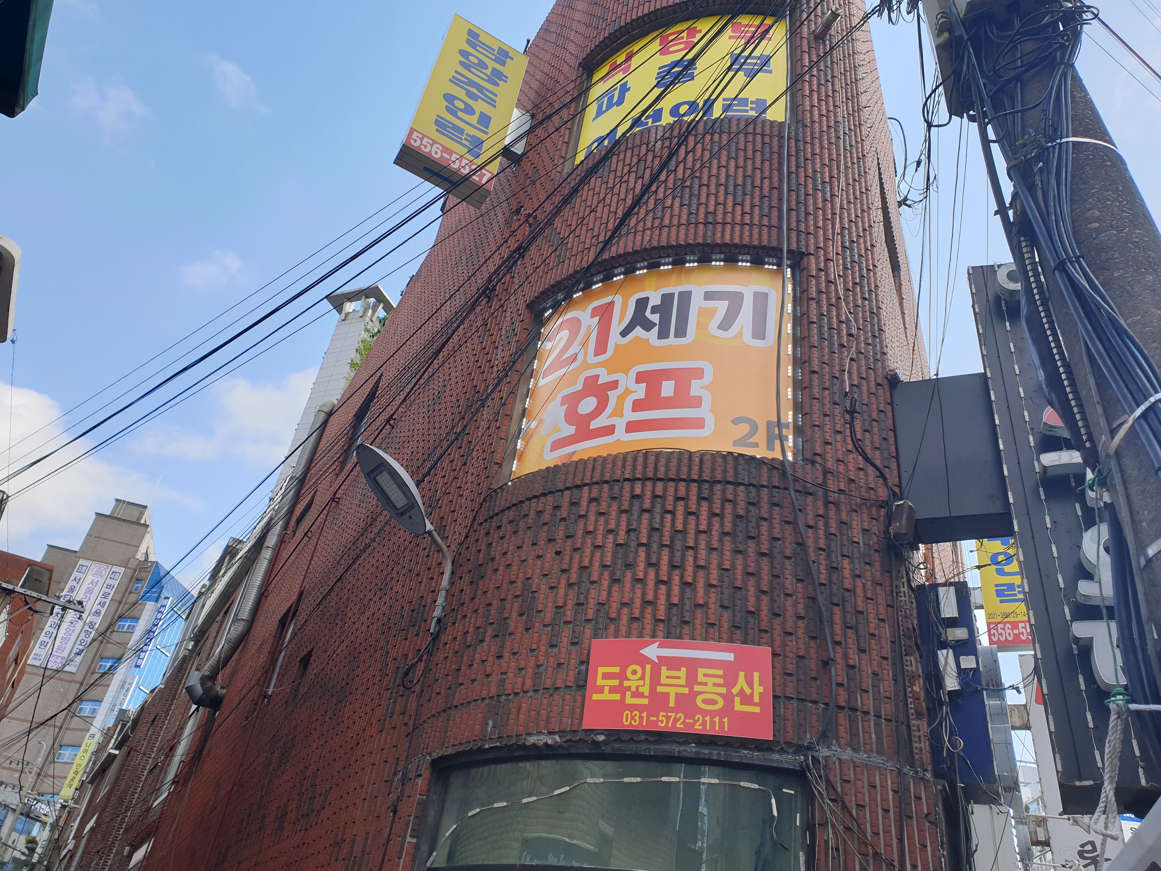 21세기호프