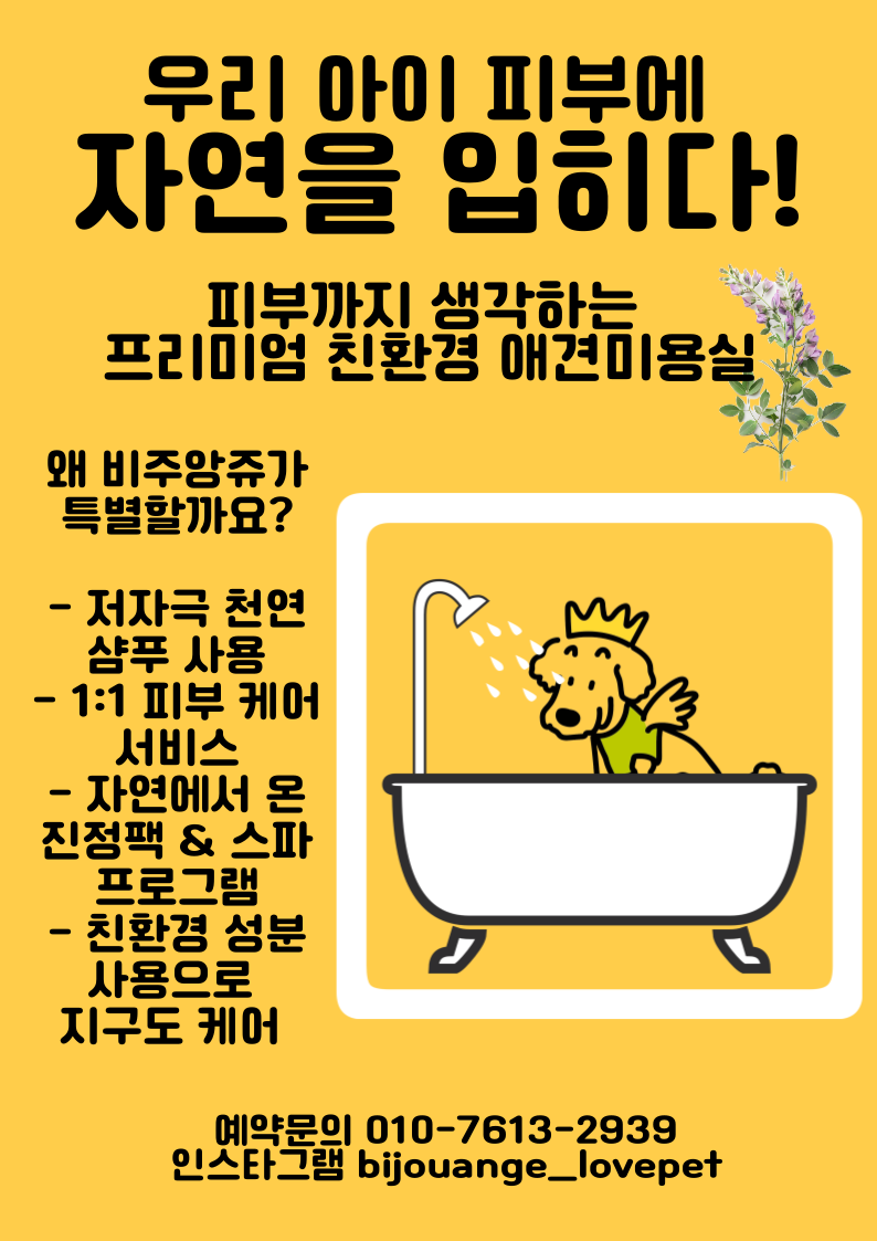 비주앙쥬 대표 이미지