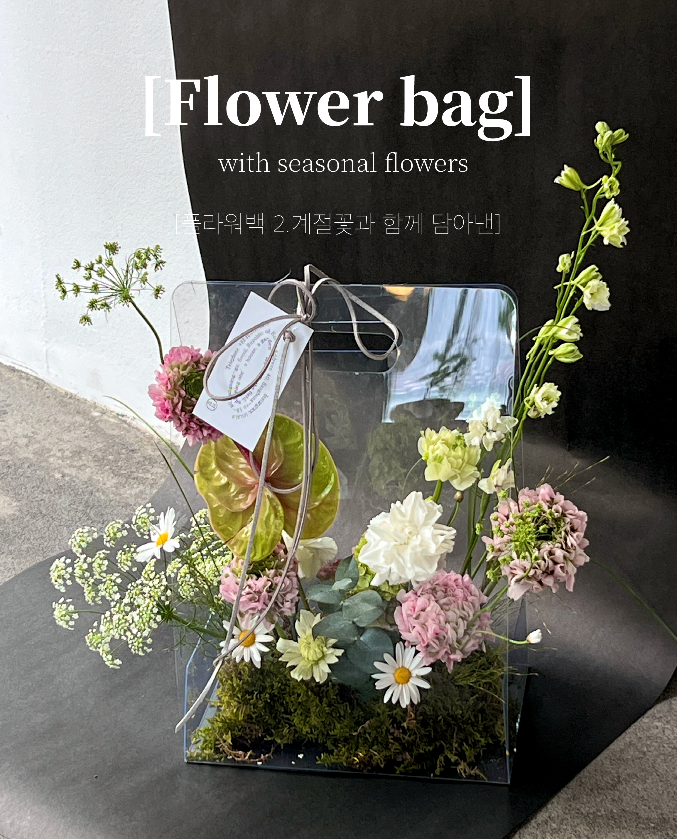 터앝
