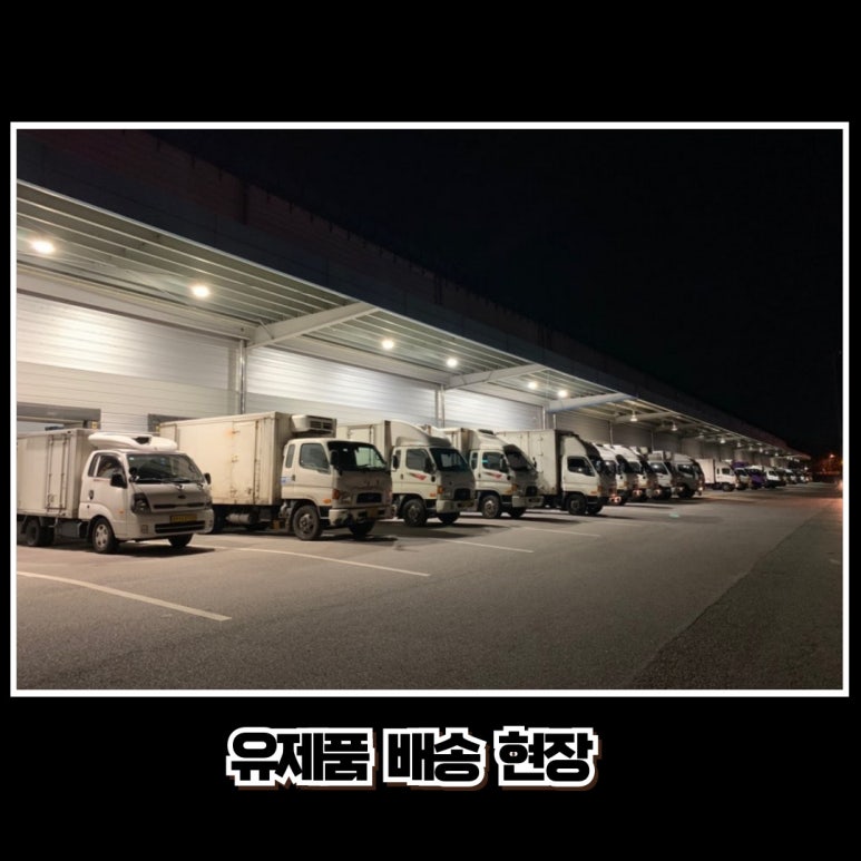 지티종합물류