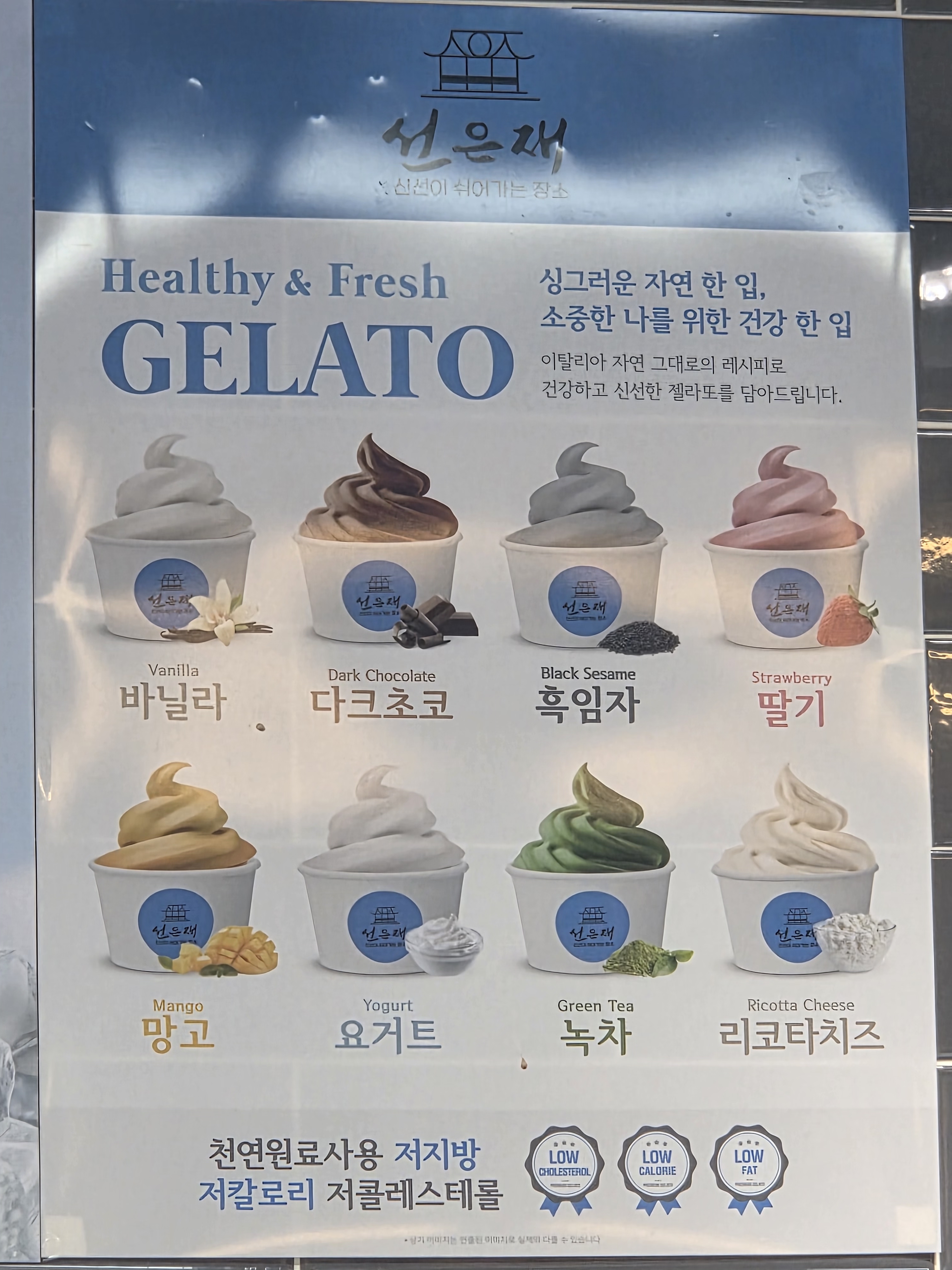 선은재카페 전라 애견맛집