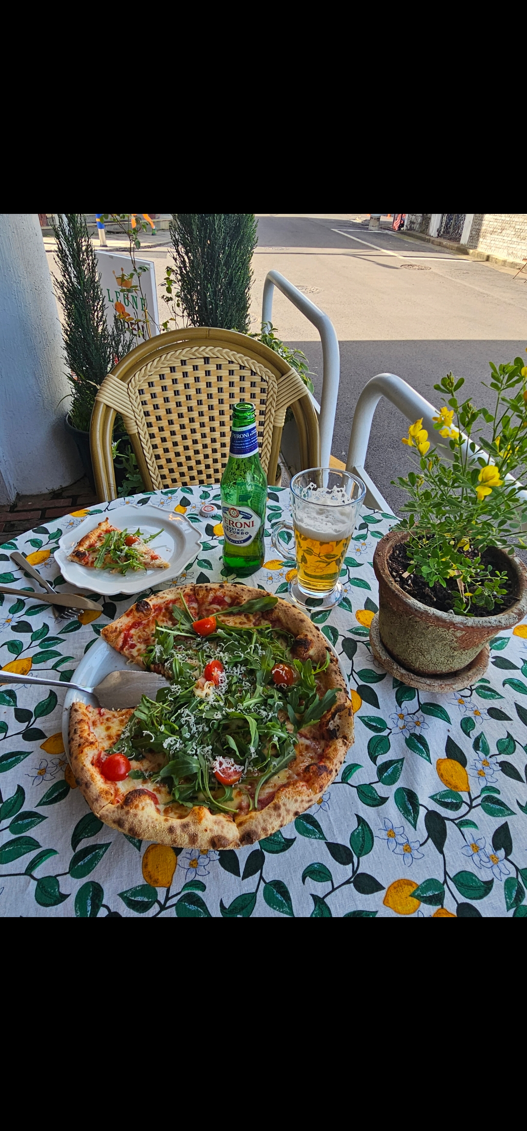 레오네 핏제리아 대표 이미지