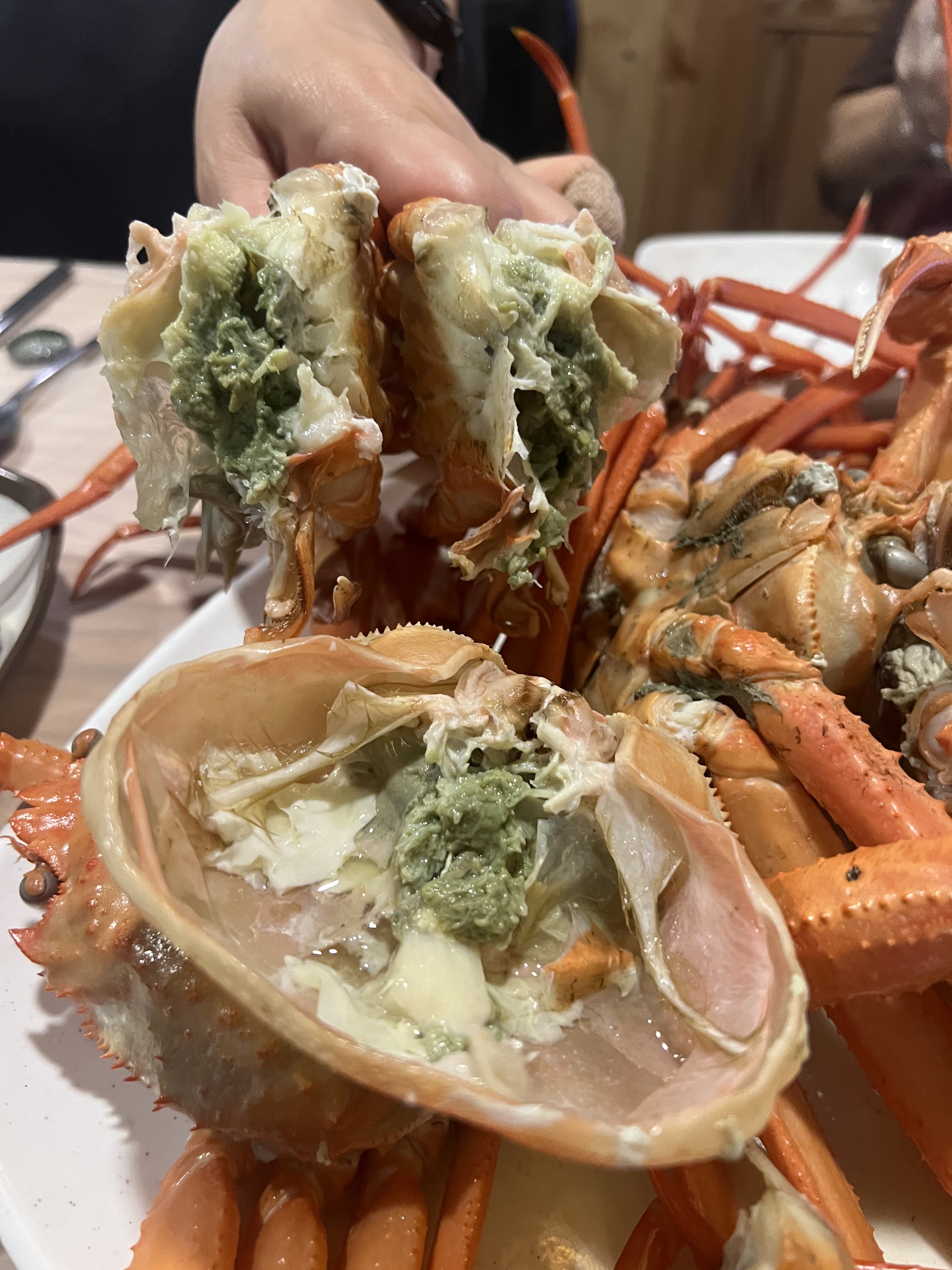 대새는 참바다 설명사진