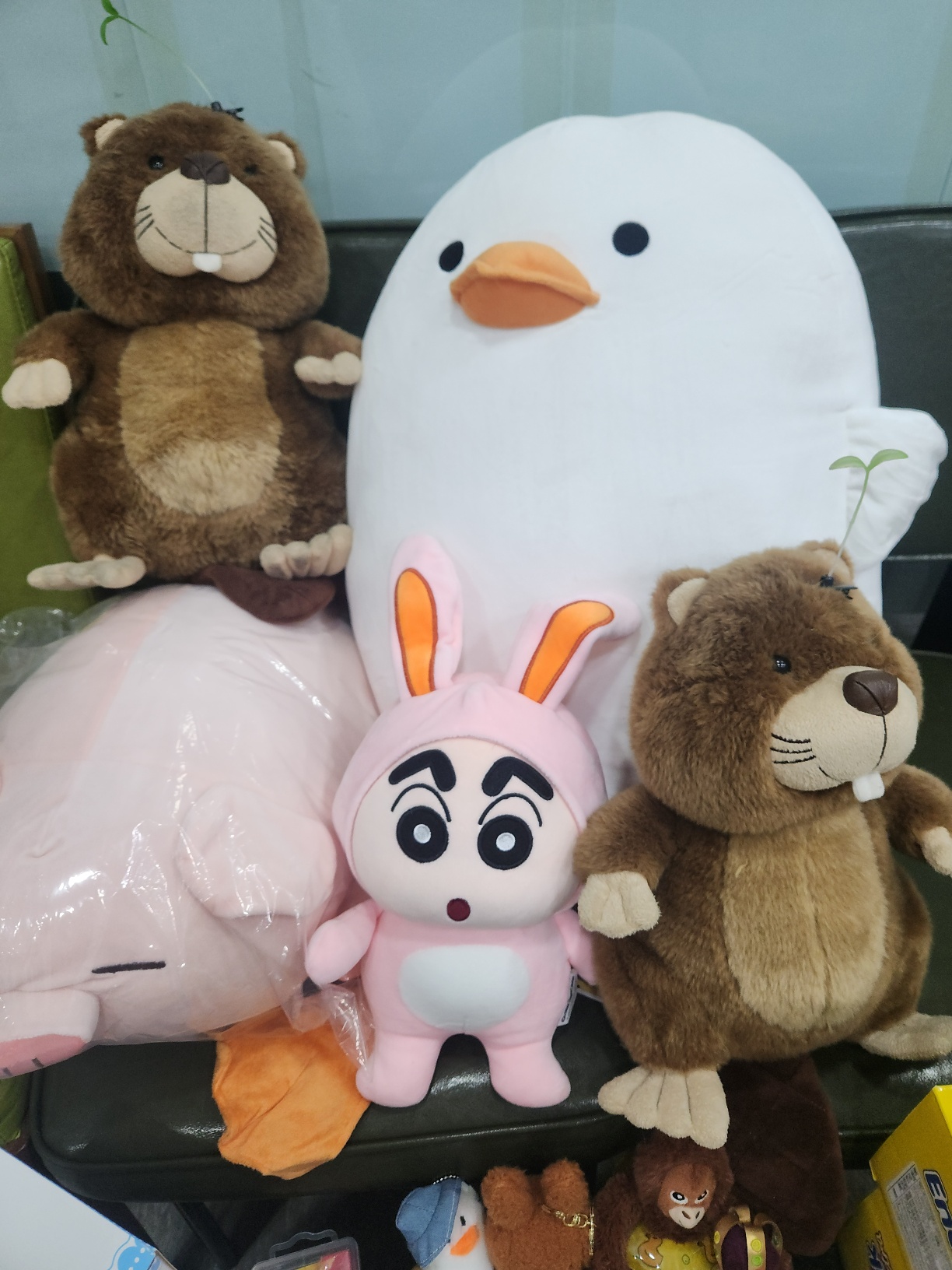 비버영어전문학원 대표 이미지