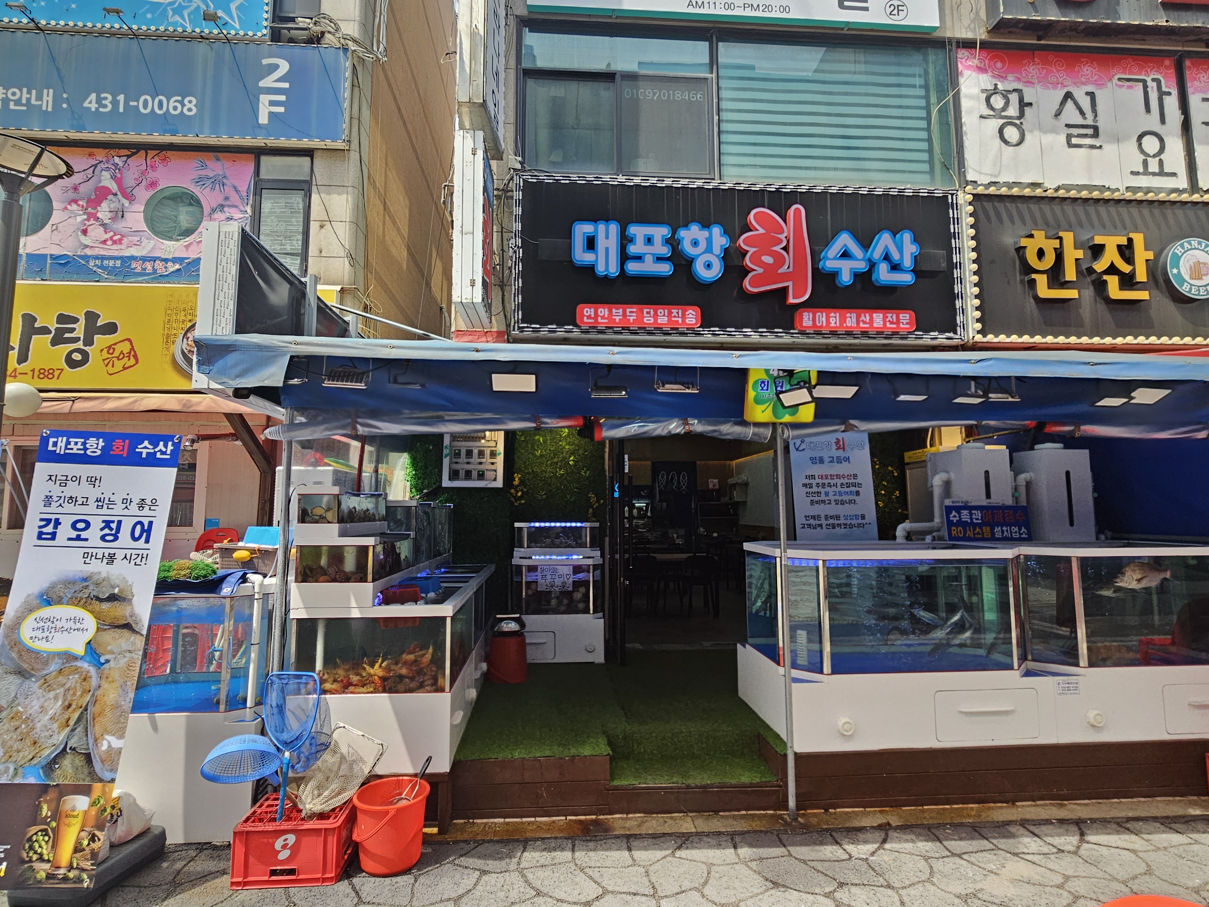 대포항회수산