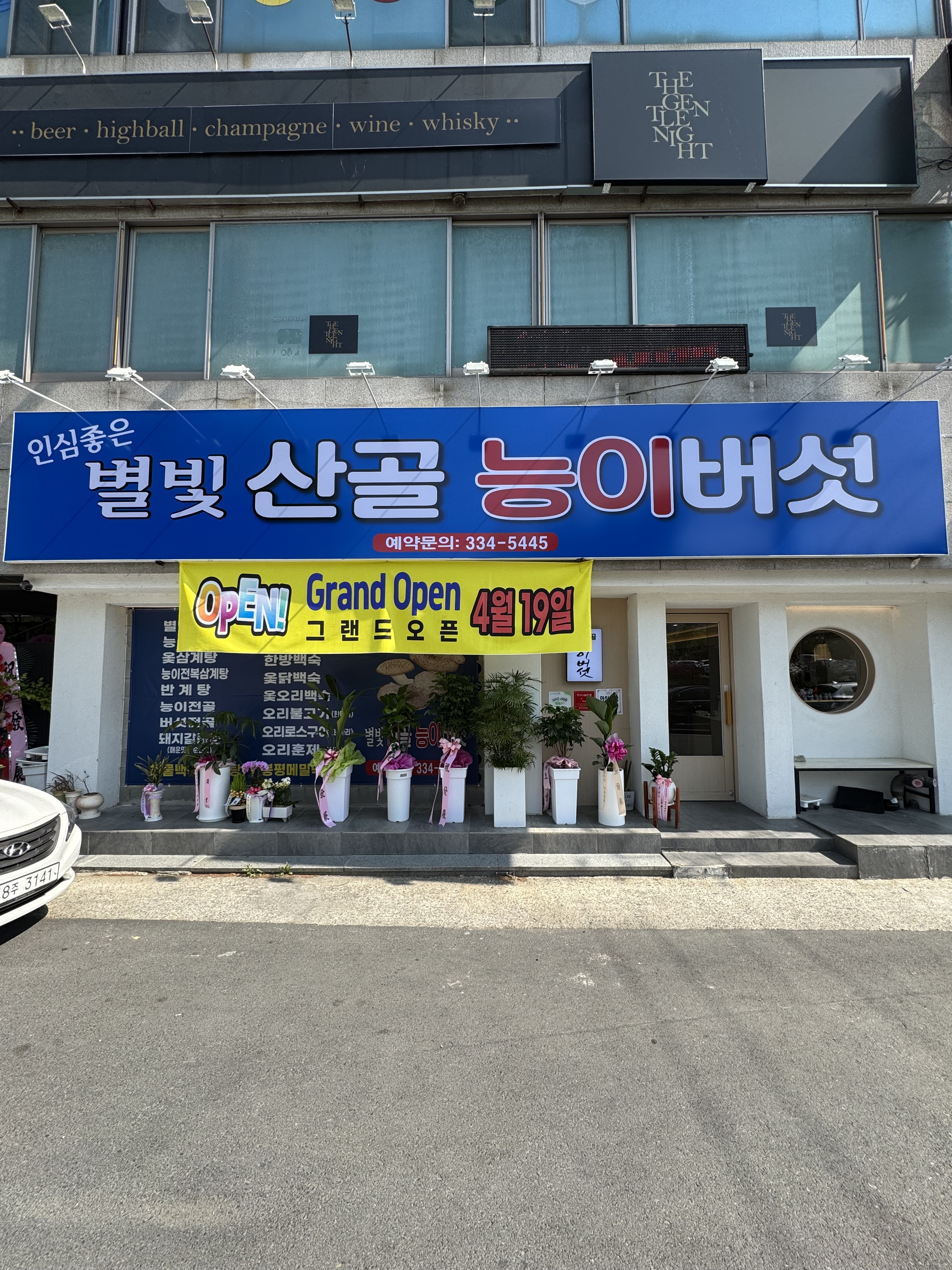 별빛산골능이버섯