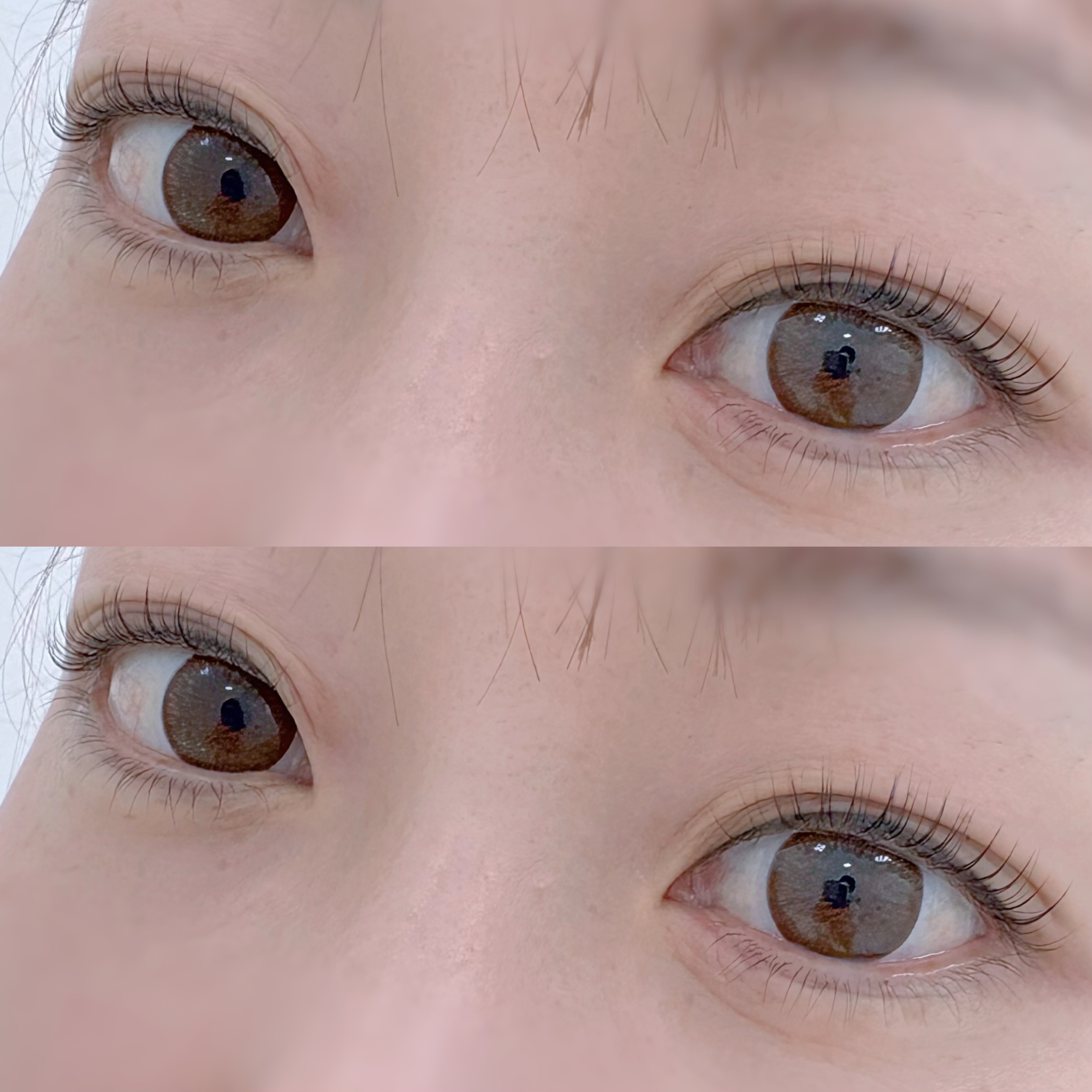 플럼데이속눈썹 대표 이미지