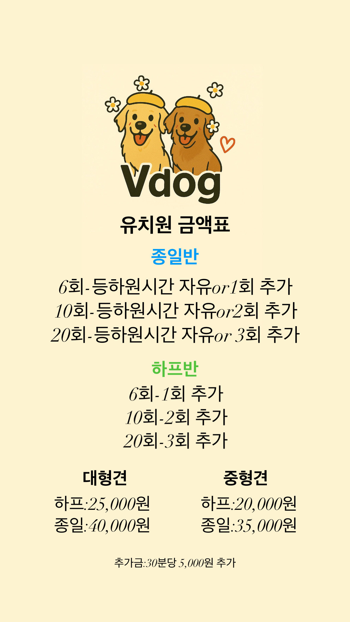 브이독 대표 이미지