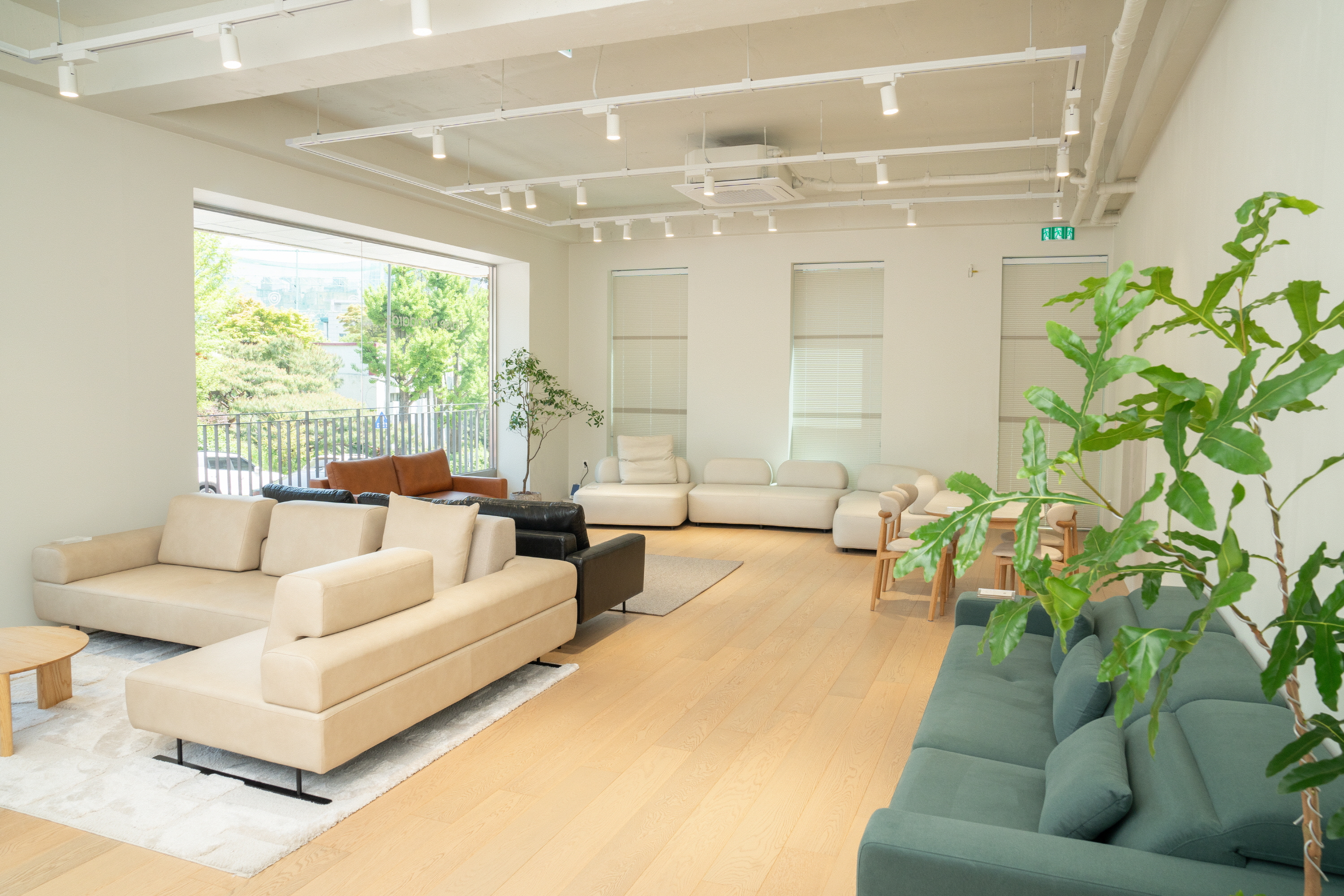 펠리토 용산 플래그십 스토어 대표 이미지