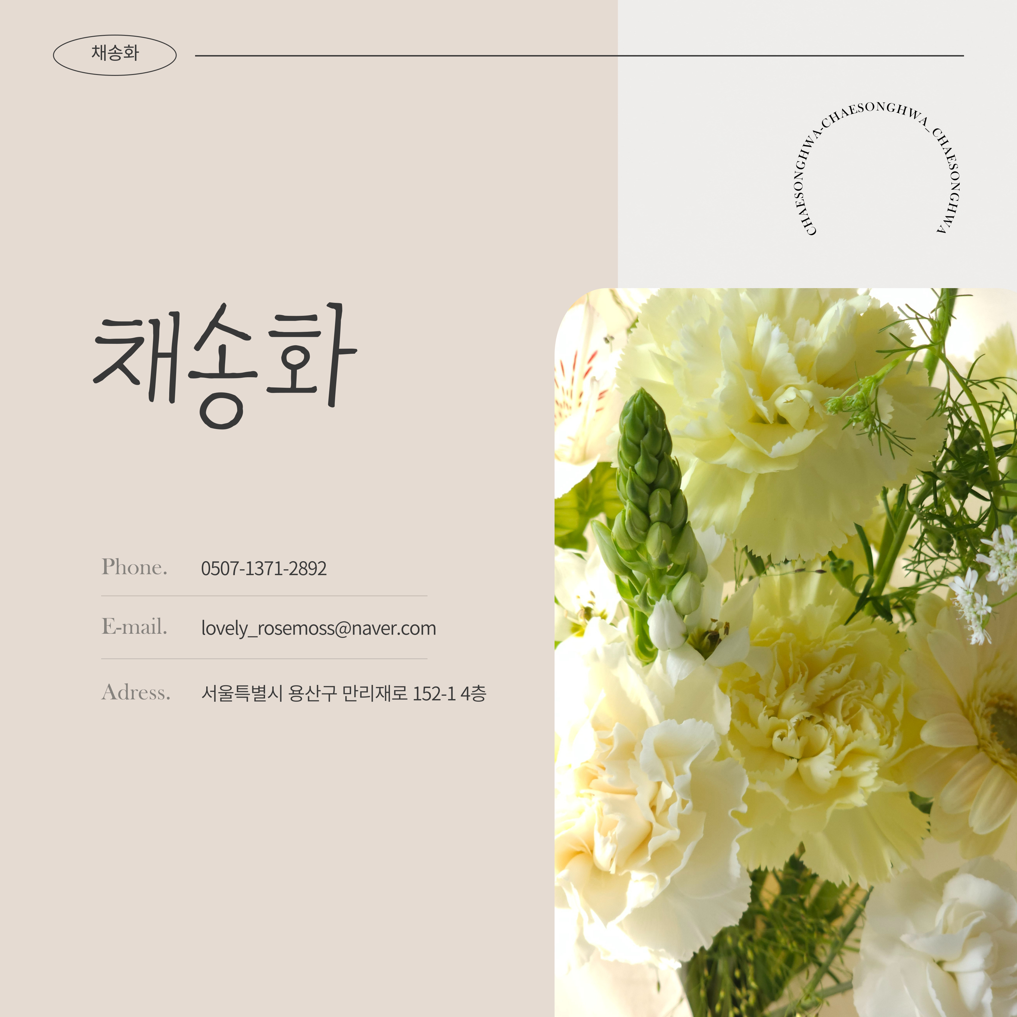 채송화