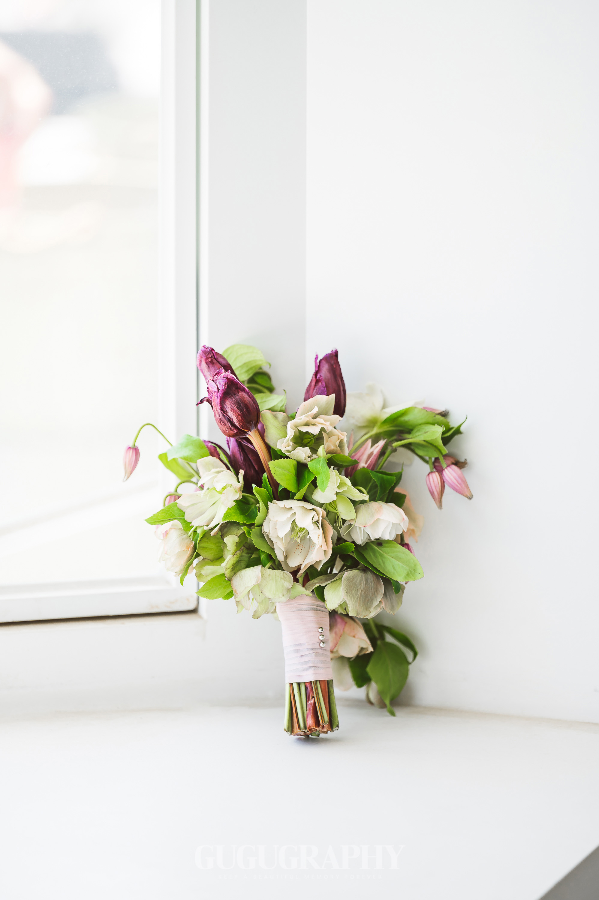 루이나스냅 대표 이미지