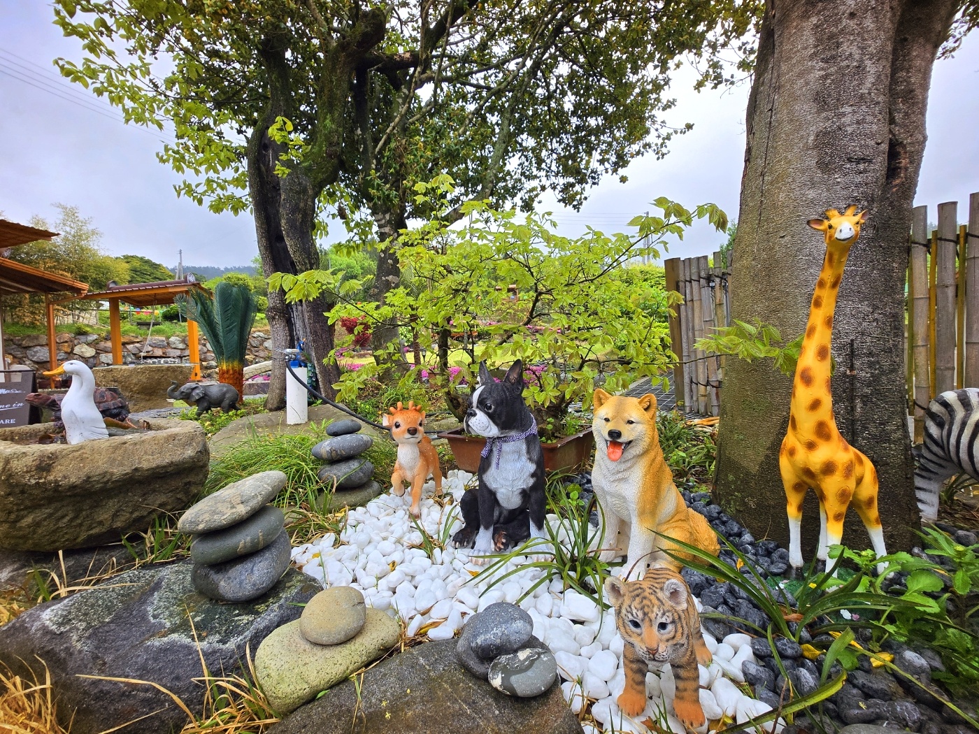 죽엽다원