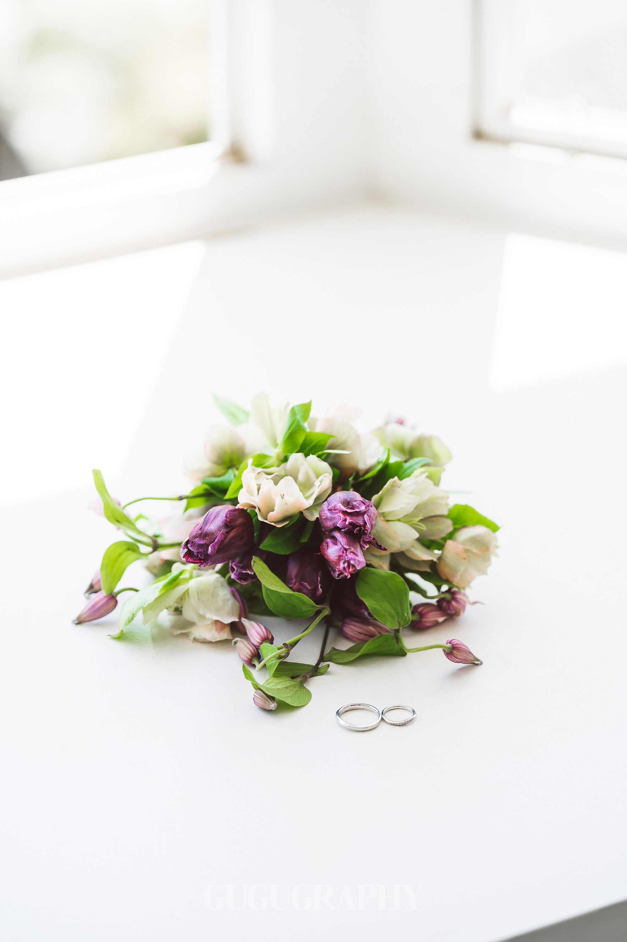 루이나스냅 대표 이미지