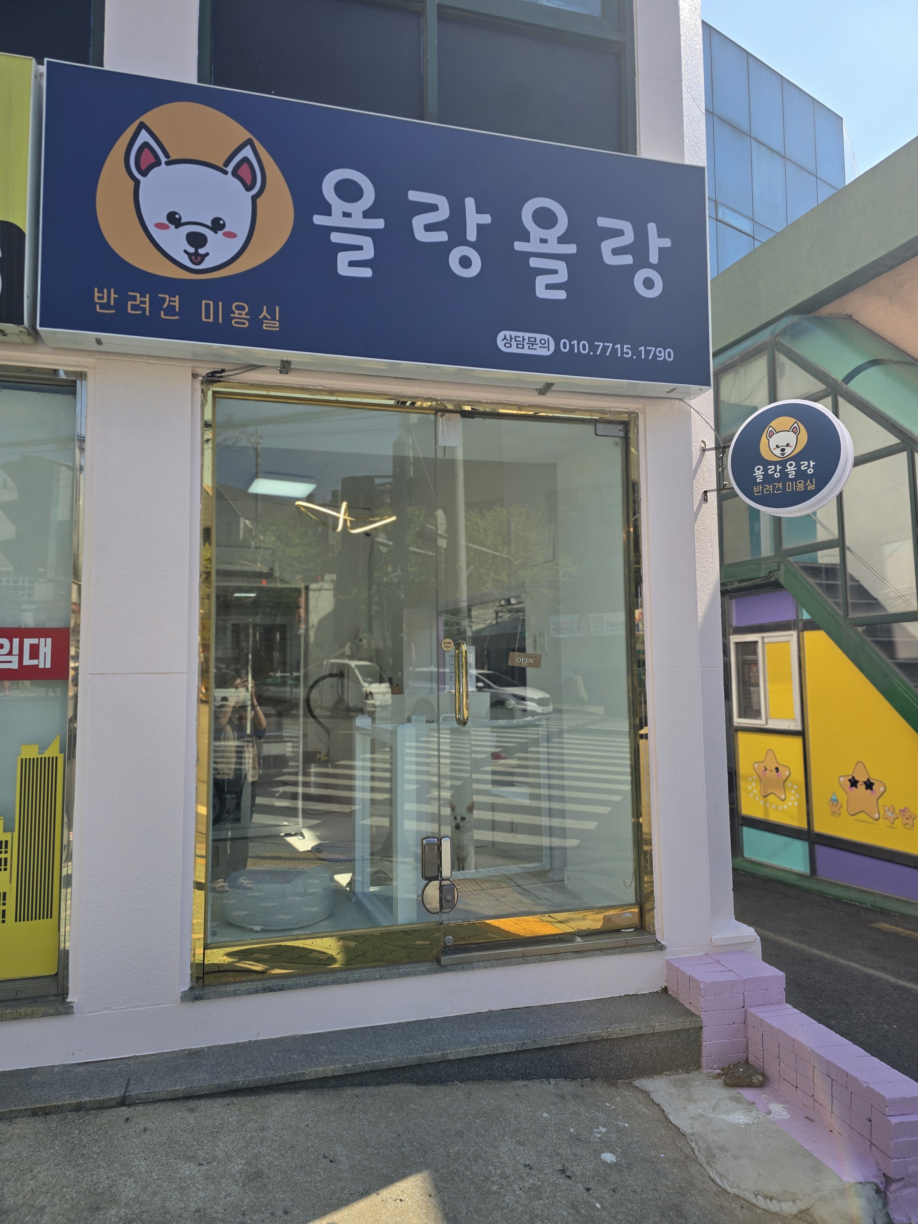 욜랑욜랑 애견미용실 대표 이미지
