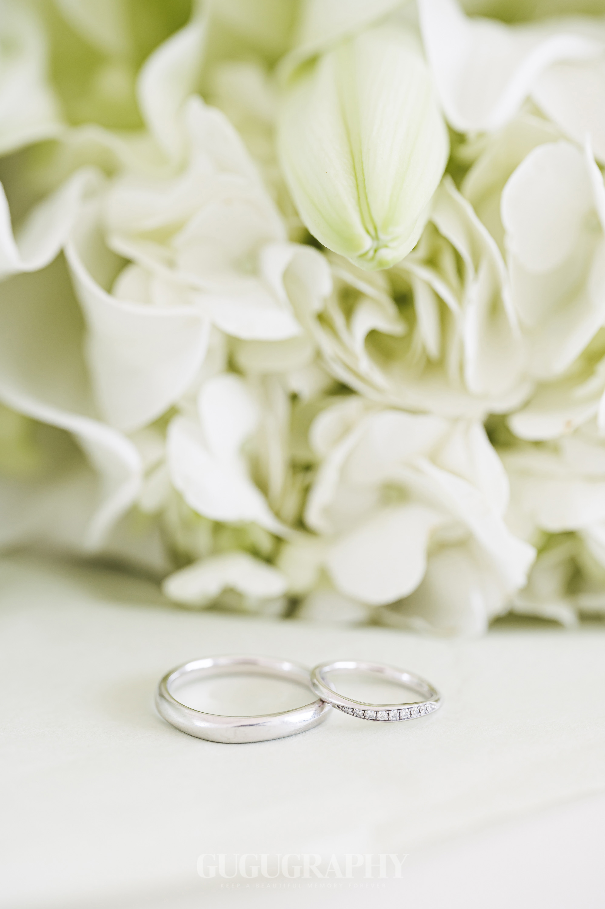 구구그라피 대표 이미지