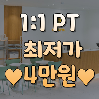 오에스짐레이디