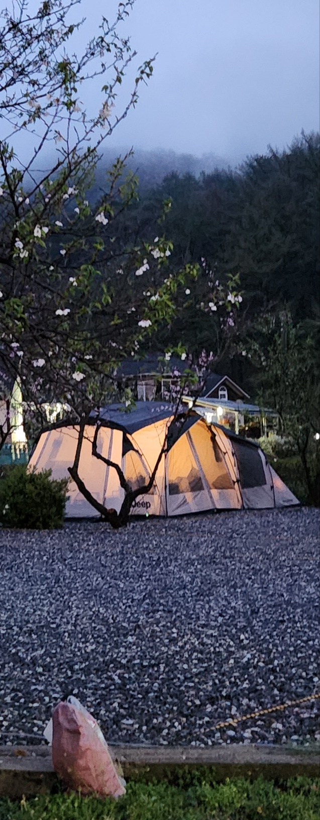 캠핑장 사진