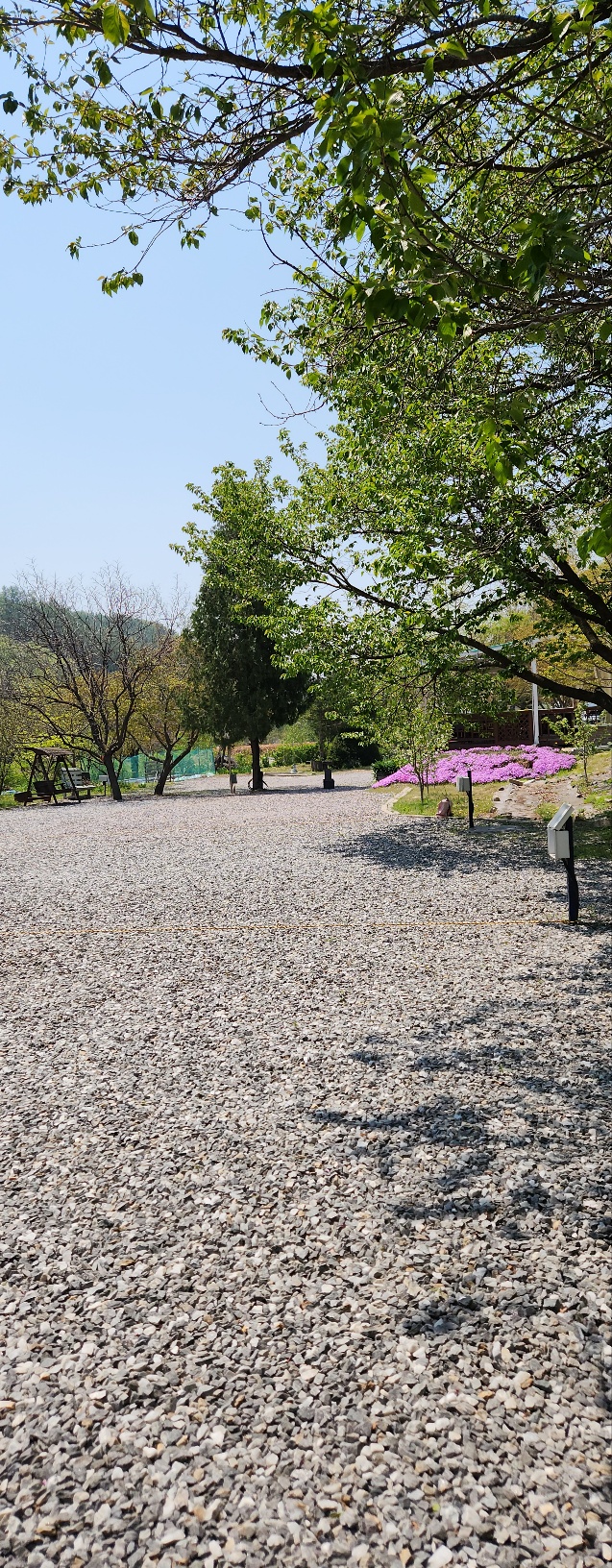캠핑장 사진