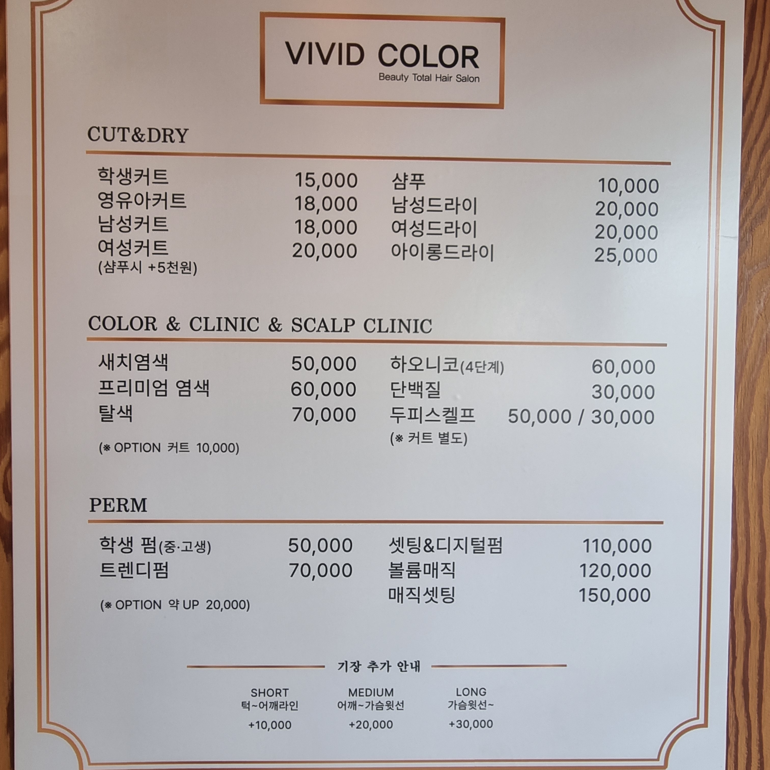 비비드컬러