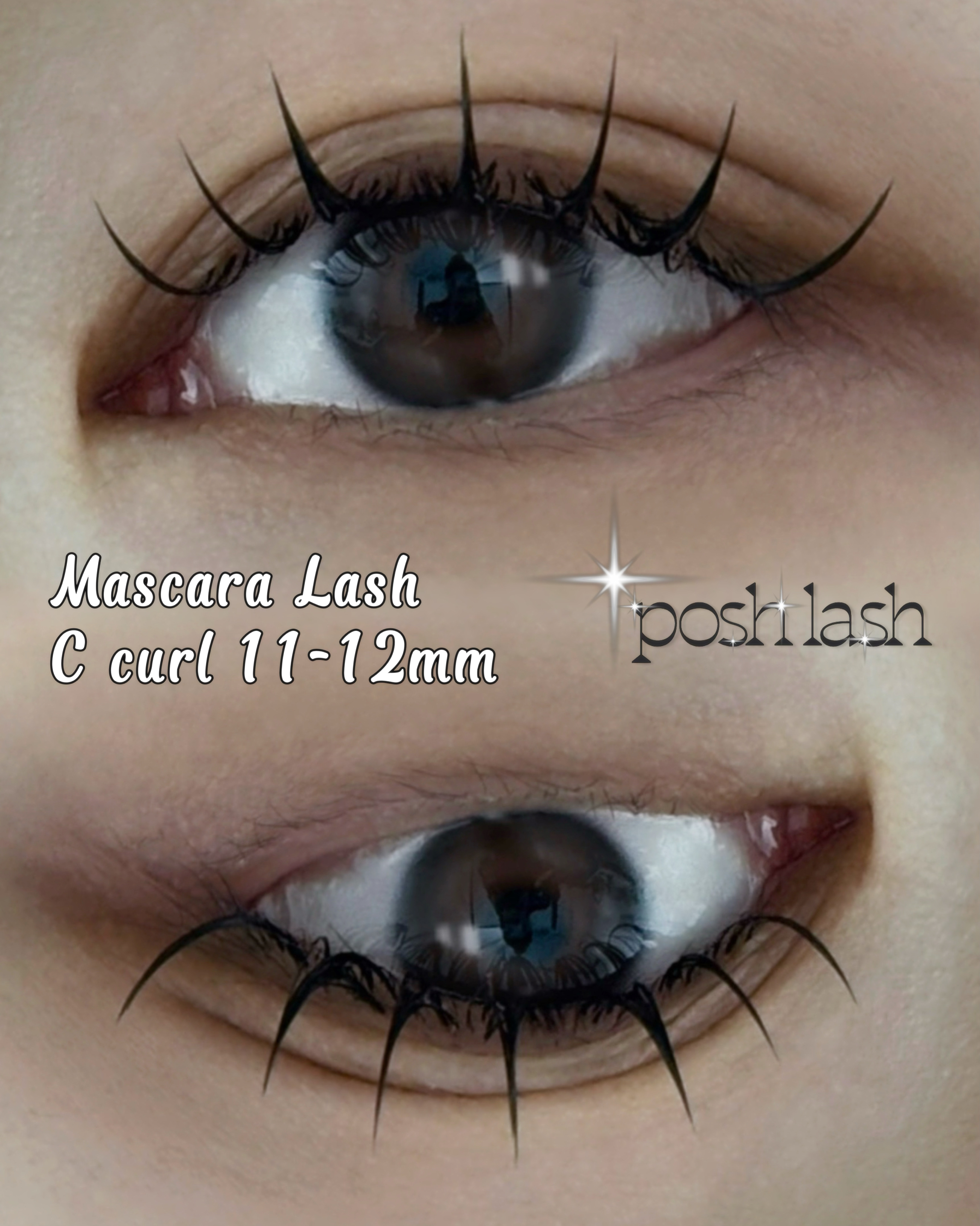 포쉬래쉬 대표 이미지