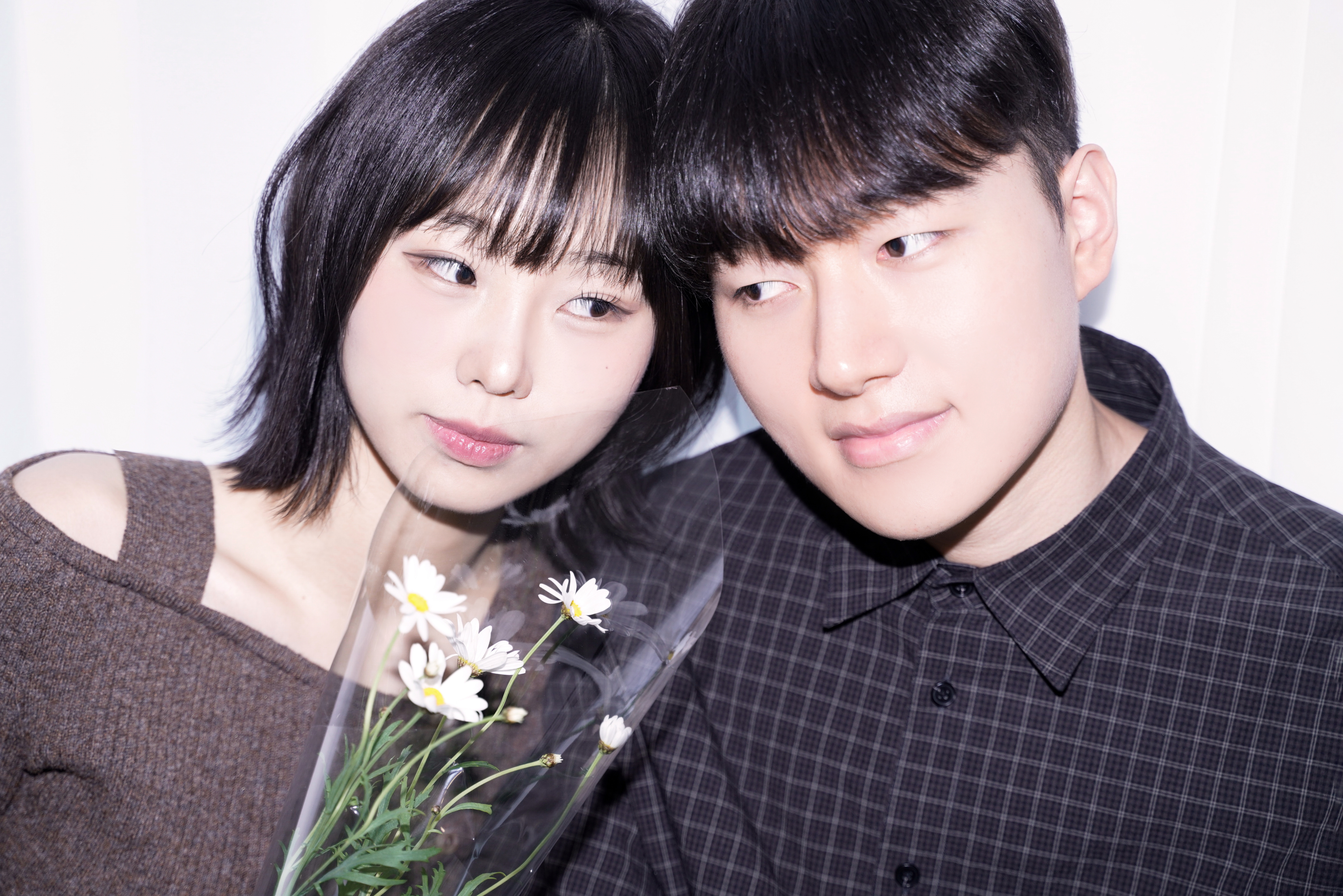 스튜디오 니브