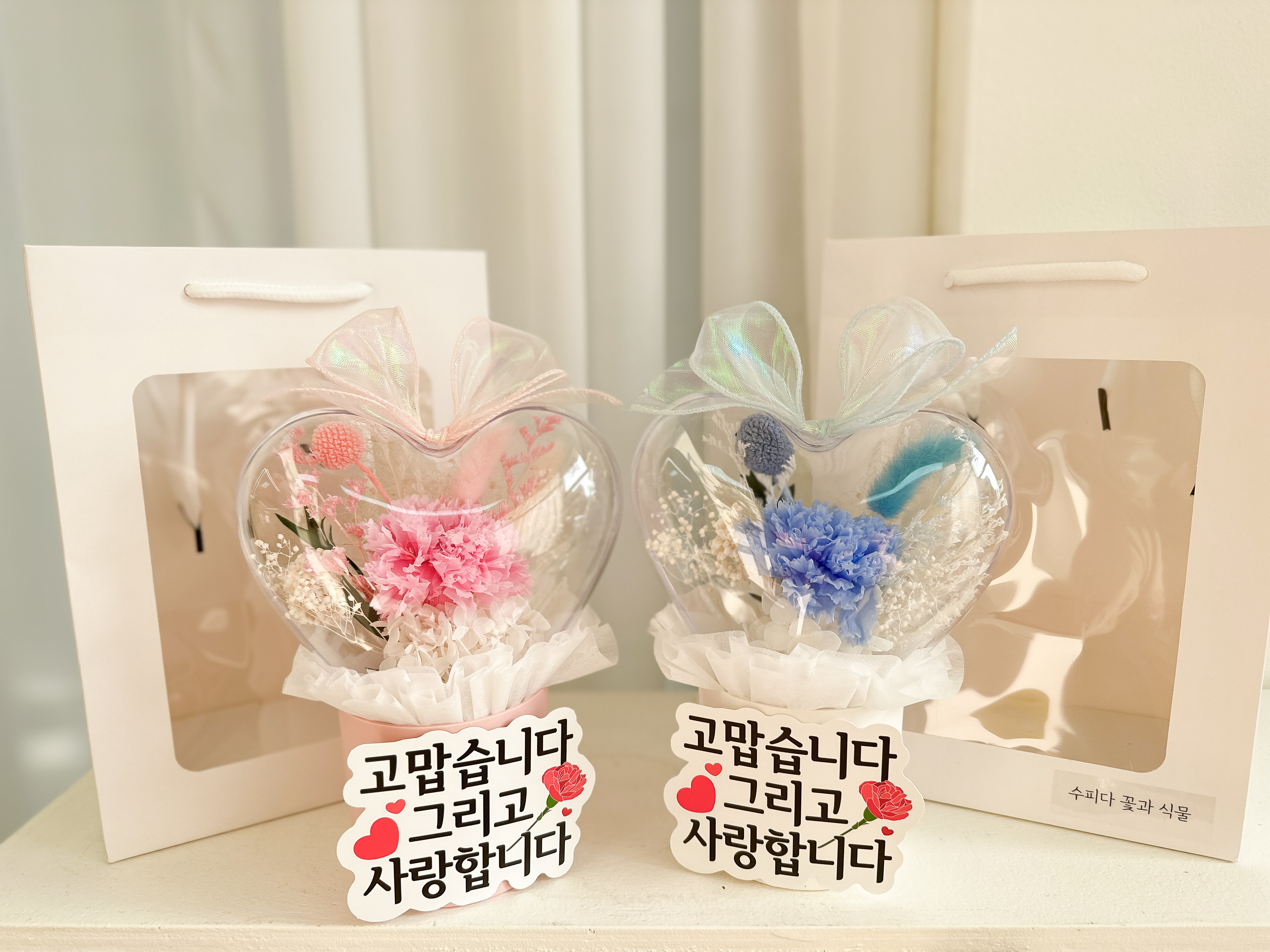 수피다 꽃과식물