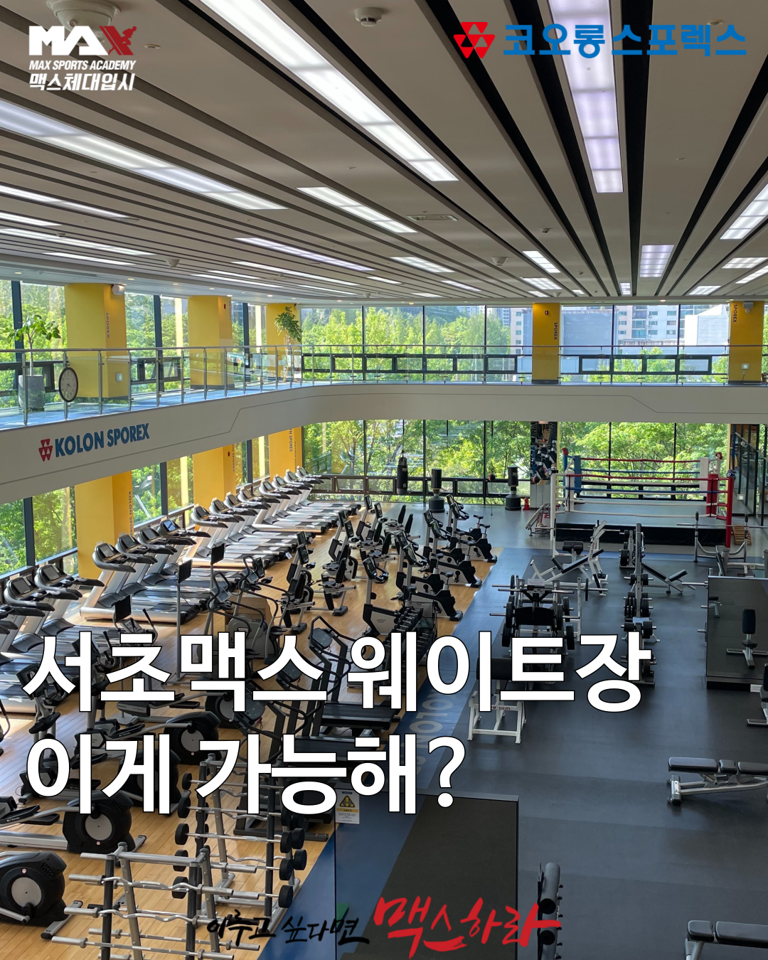 맥스체대입시 서초교육원