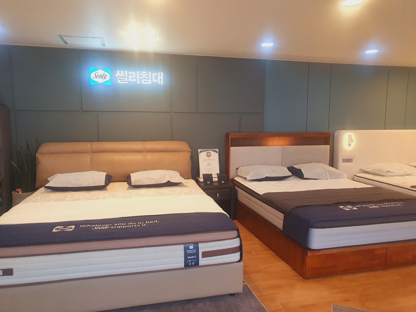 씰리침대 용인남사점 대표 이미지