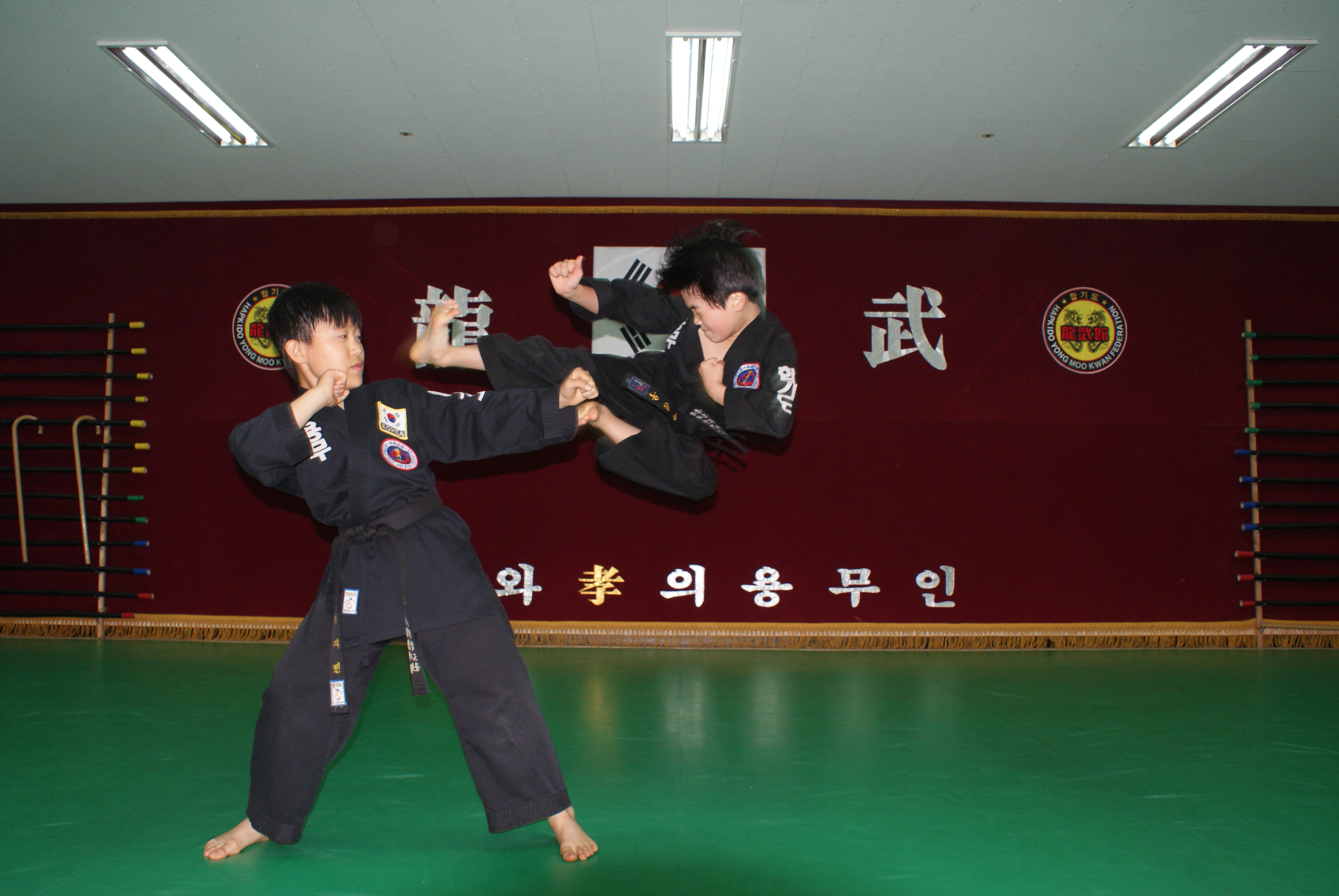 합기도용무체육관