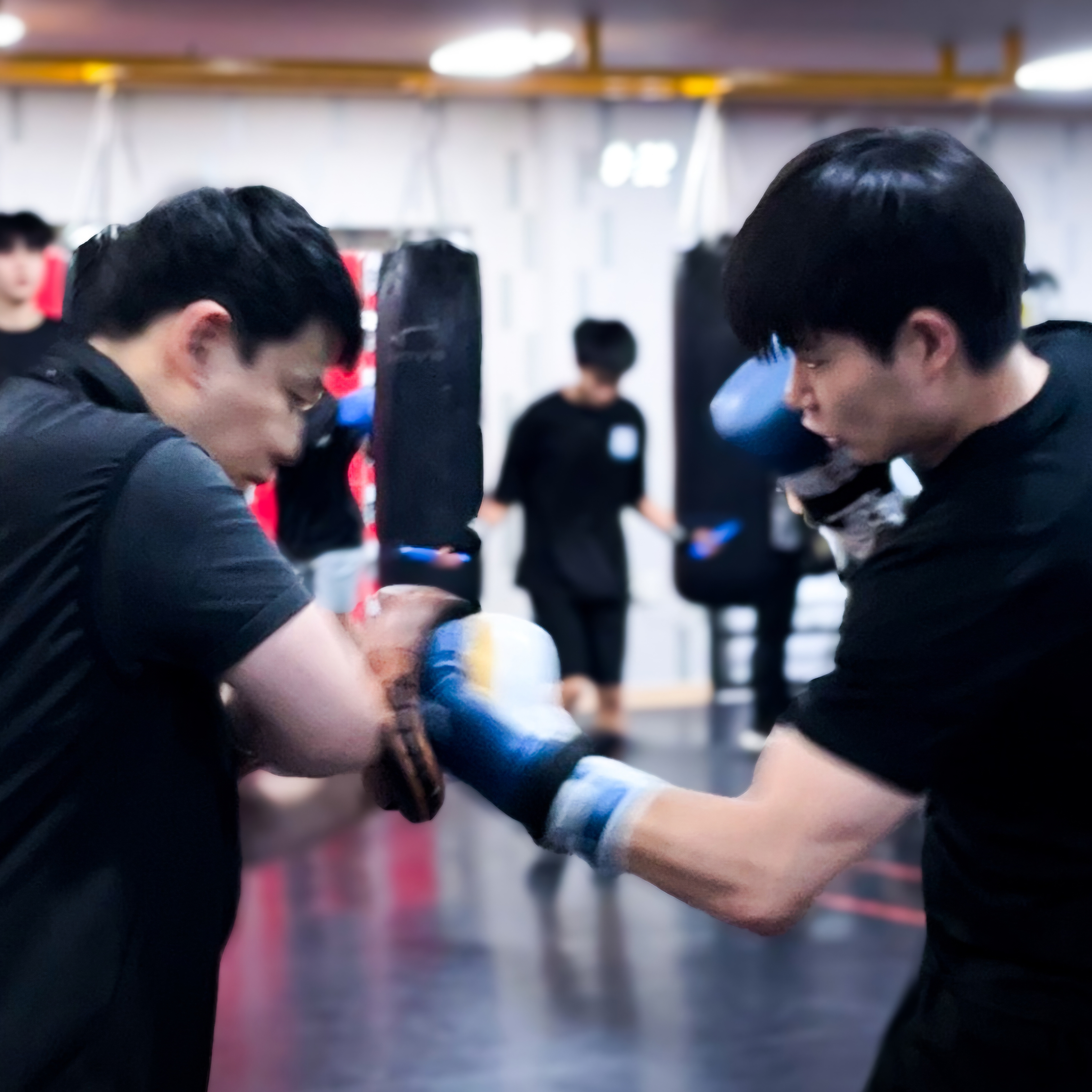 경기도 용인시 수지구 복싱체육관 더에이치복싱짐 내부 모습 5
