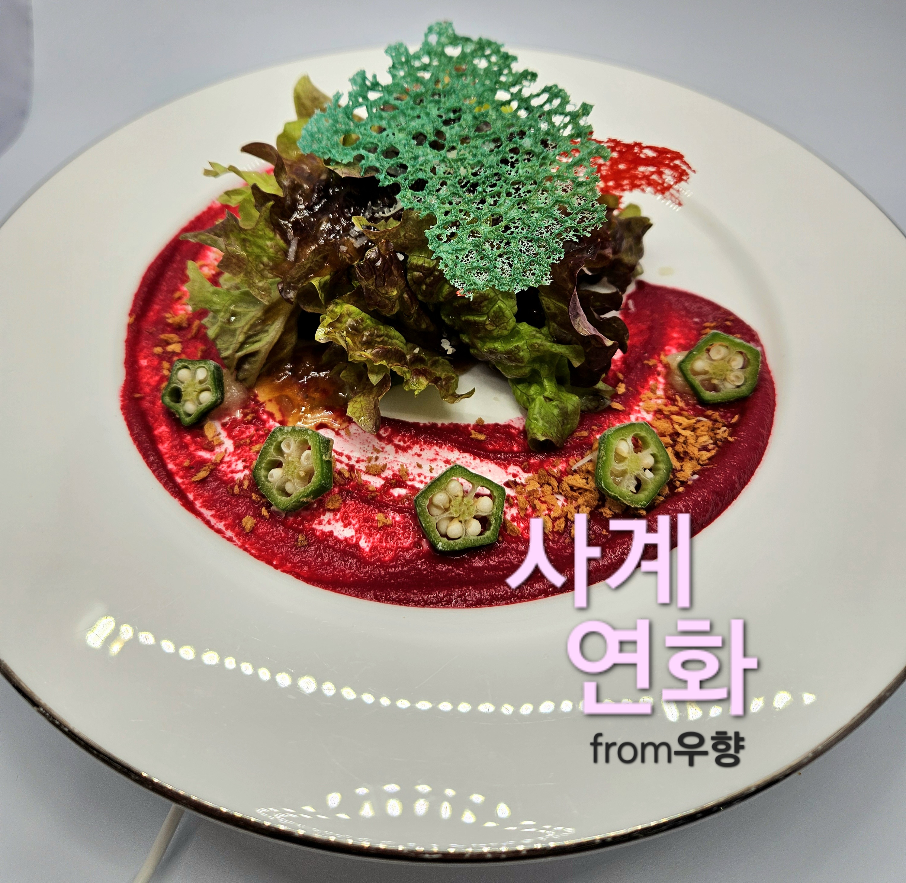 사계연화 from우향