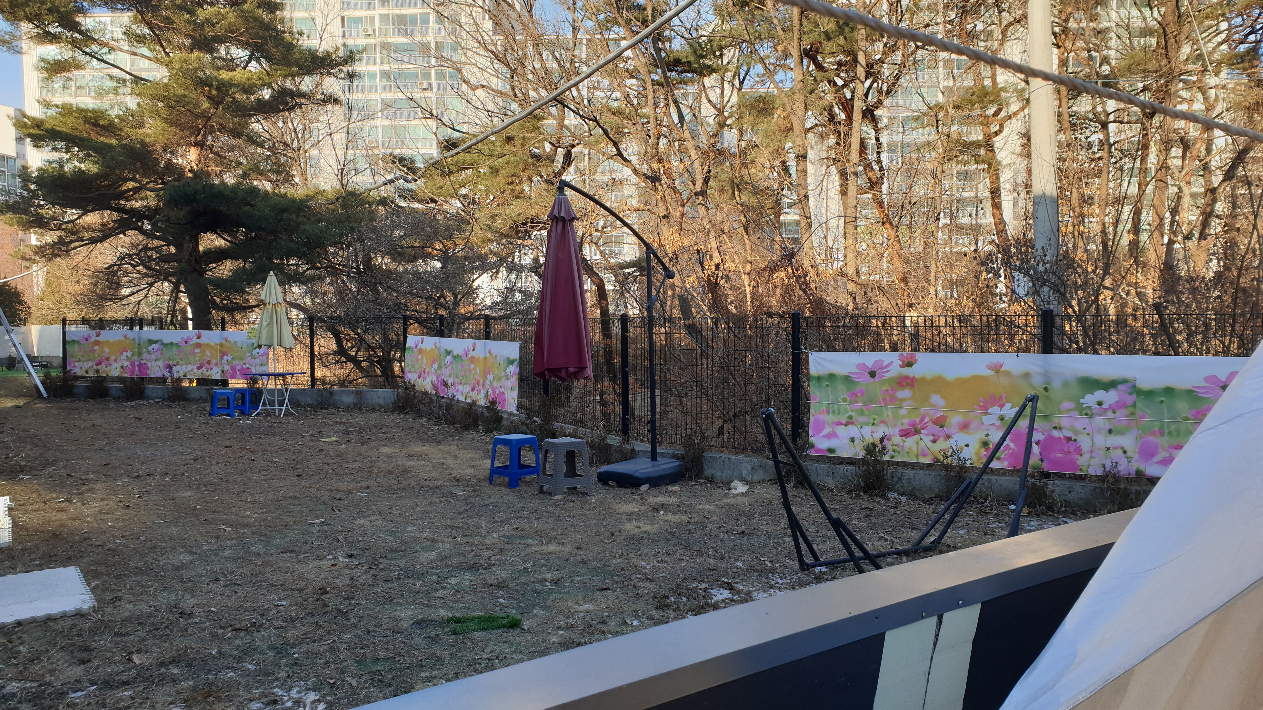 JM축구&강아지놀이터 대표 이미지