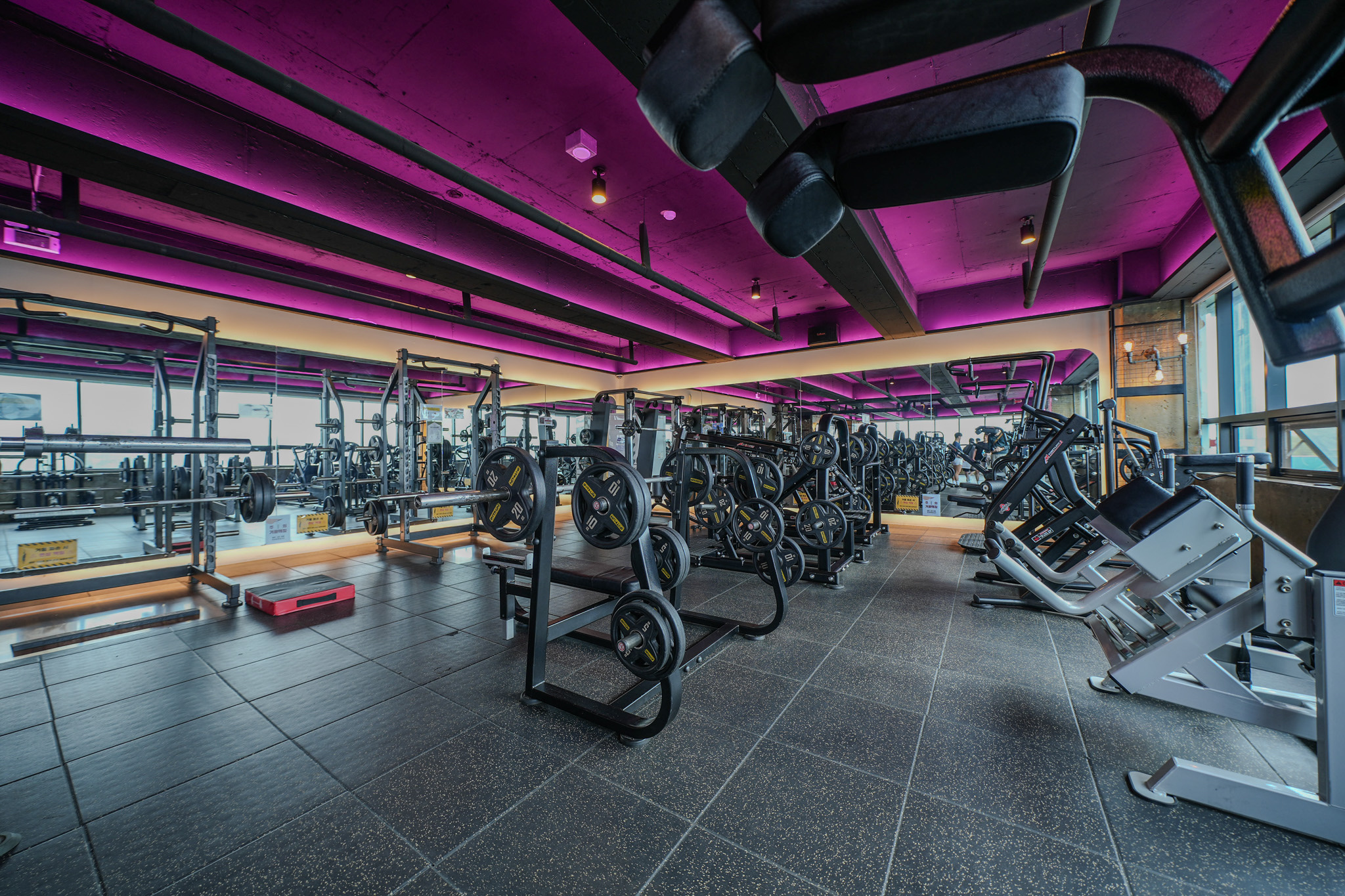 머슬팩토리24 경상대점 대표 이미지